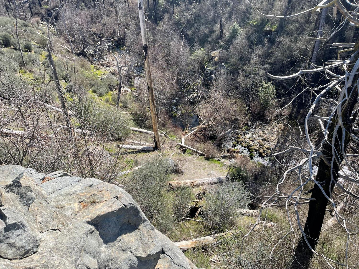 7602 Old Emigrant Trail Mountain Ranch, CA 95246 - Photo 33 of 50