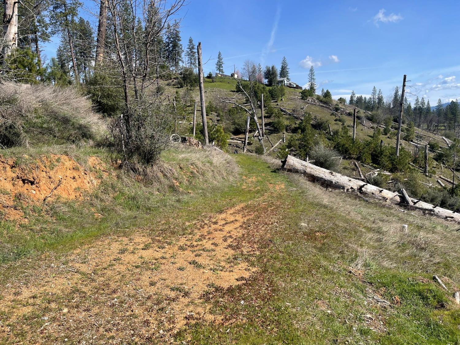 7602 Old Emigrant Trail Mountain Ranch, CA 95246 - Photo 37 of 50 Dirt road to Creek