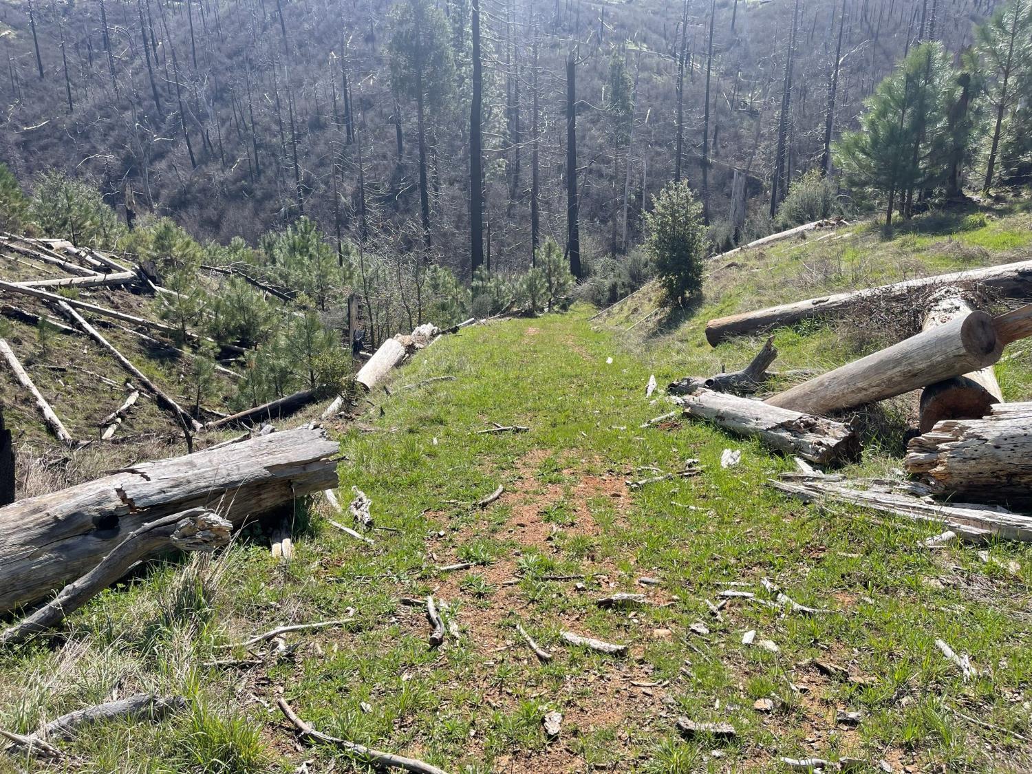 7602 Old Emigrant Trail Mountain Ranch, CA 95246 - Photo 38 of 50 Dirt Road to Creek