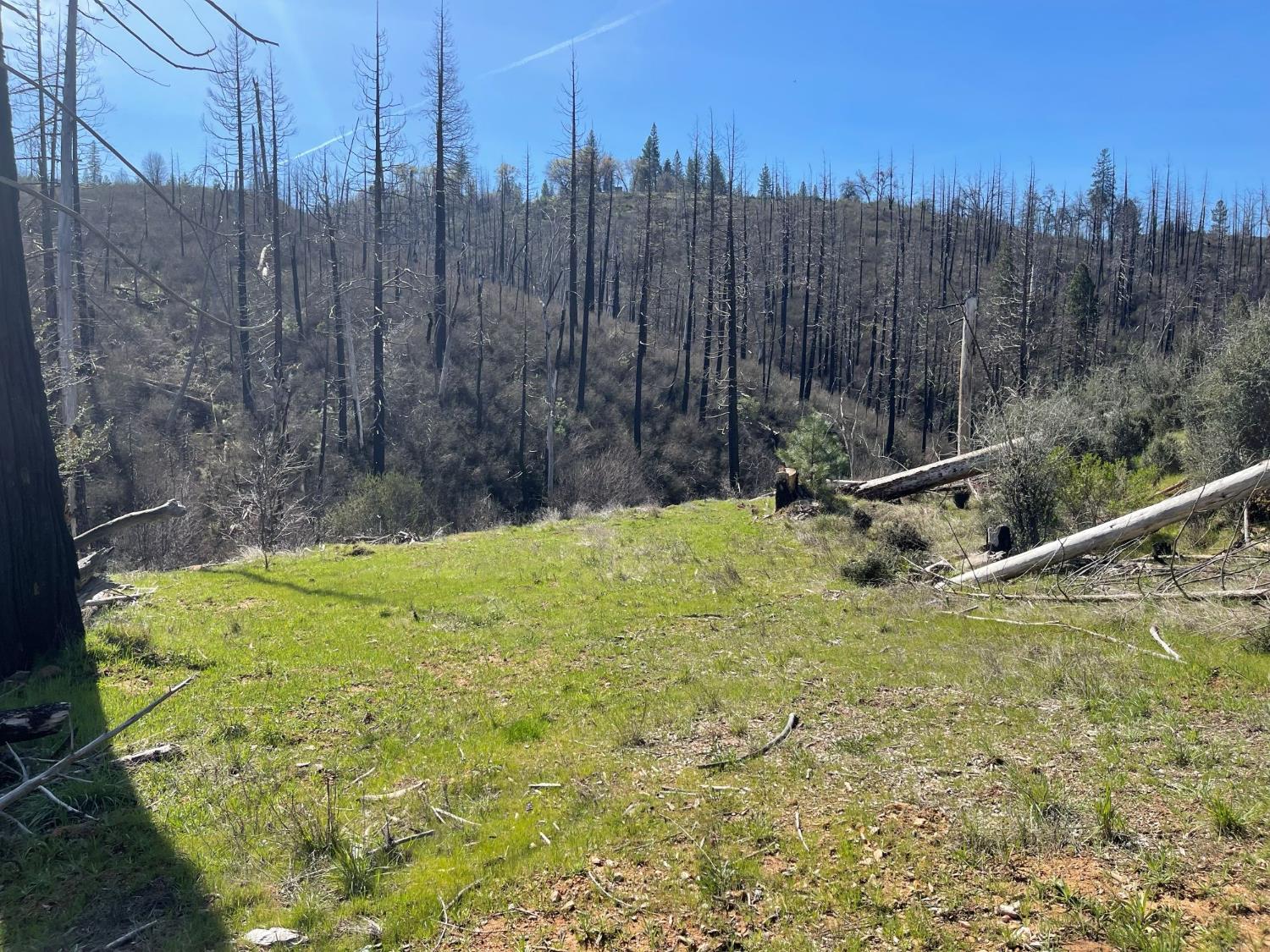 7602 Old Emigrant Trail Mountain Ranch, CA 95246 - Photo 39 of 50 Leveled Pad Near Creek