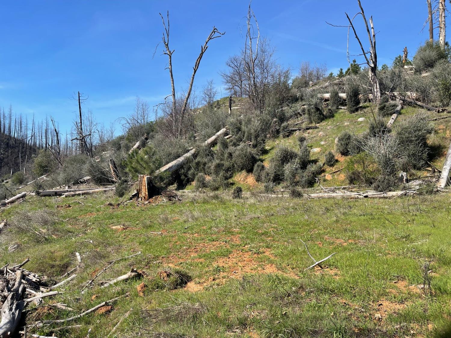 7602 Old Emigrant Trail Mountain Ranch, CA 95246 - Photo 40 of 50