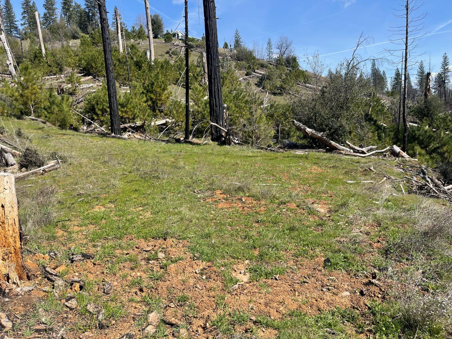 7602 Old Emigrant Trail Mountain Ranch, CA 95246 - Photo 41 of 50