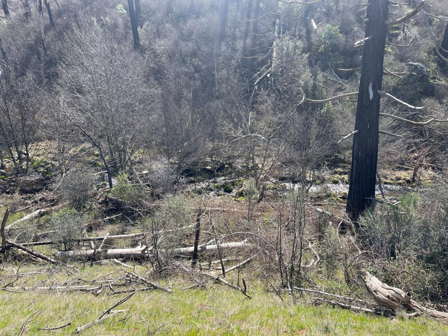 7602 Old Emigrant Trail Mountain Ranch, CA 95246 - Photo 44 of 50