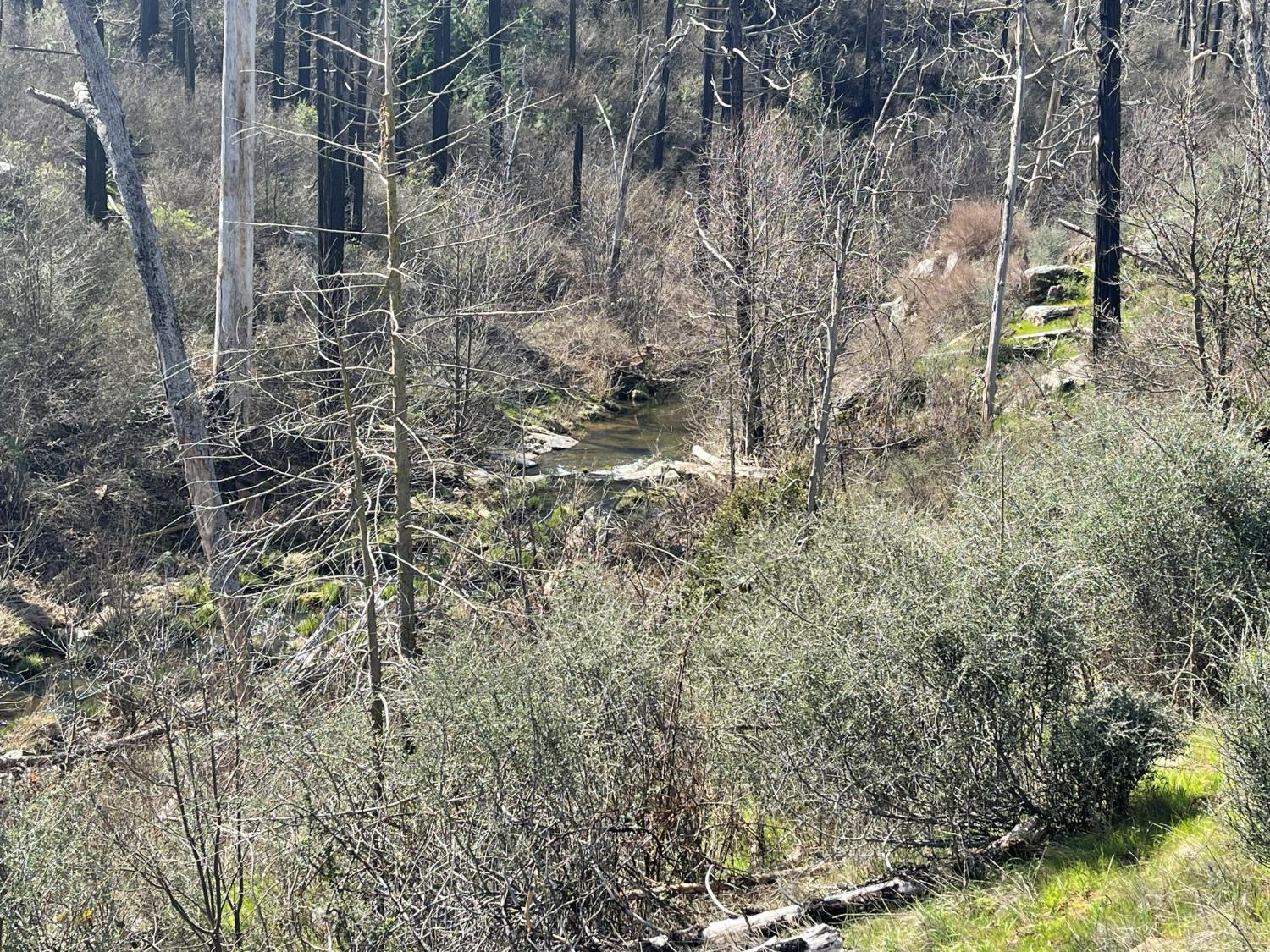 7602 Old Emigrant Trail Mountain Ranch, CA 95246 - Photo 45 of 50