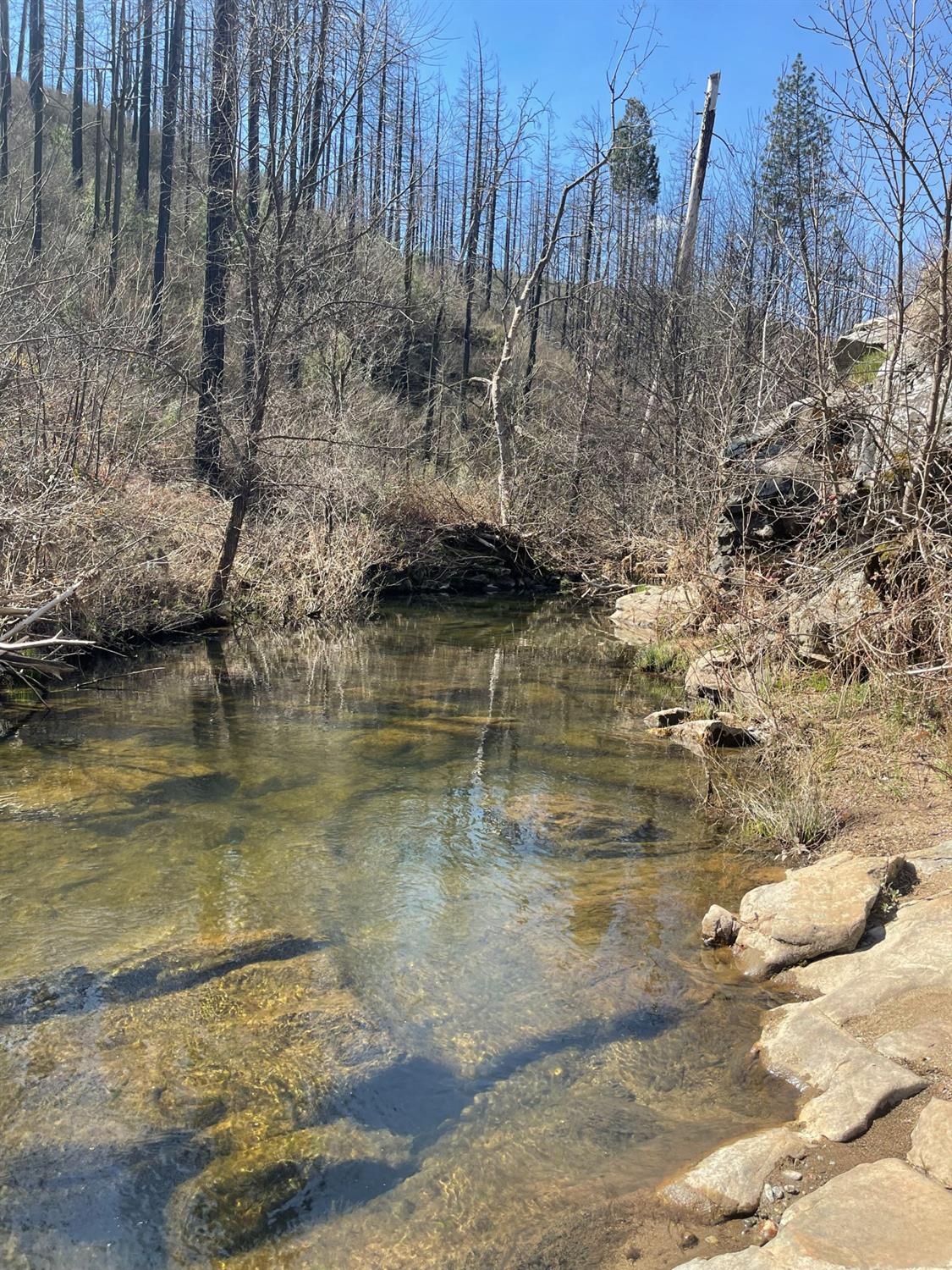 7602 Old Emigrant Trail Mountain Ranch, CA 95246 - Photo 47 of 50
