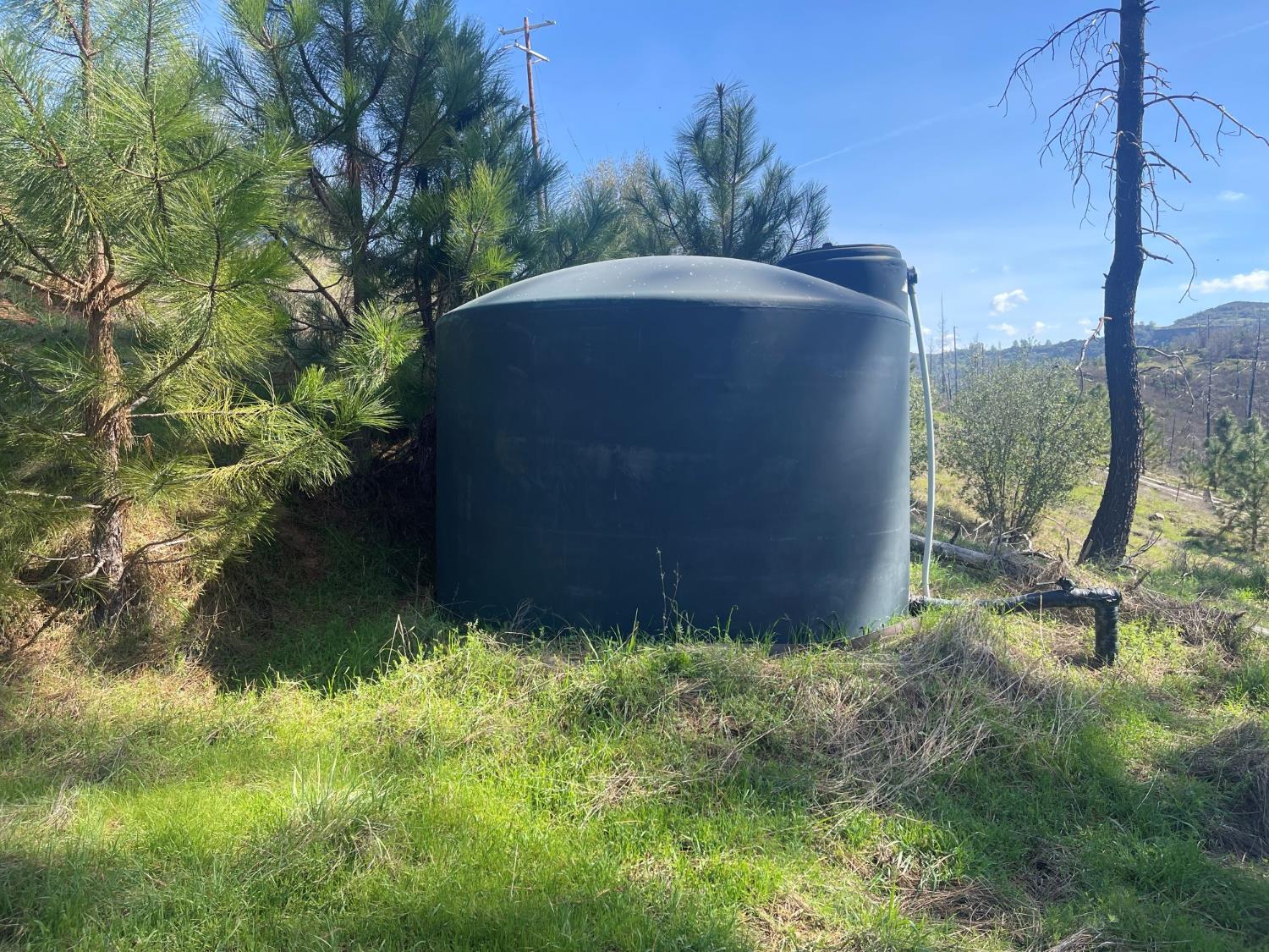 7602 Old Emigrant Trail Mountain Ranch, CA 95246 - Photo 48 of 50