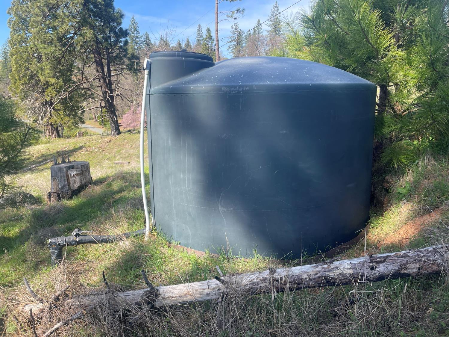 7602 Old Emigrant Trail Mountain Ranch, CA 95246 - Photo 50 of 50