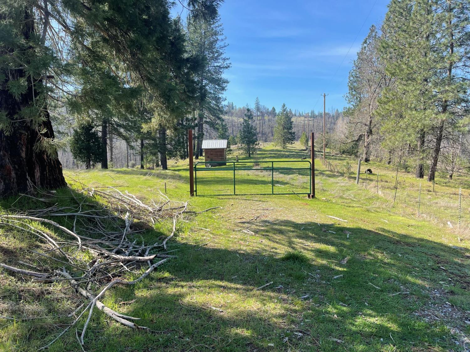 7602 Old Emigrant Trail Mountain Ranch, CA 95246 - Photo 5 of 50