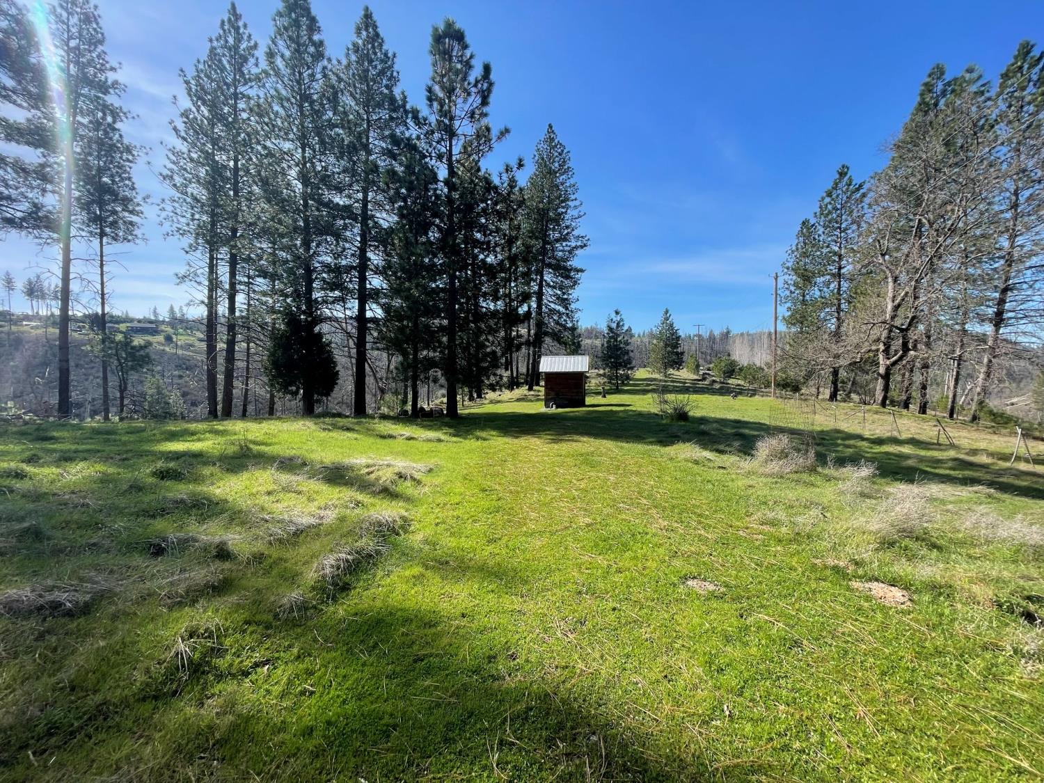 7602 Old Emigrant Trail Mountain Ranch, CA 95246 - Photo 6 of 50