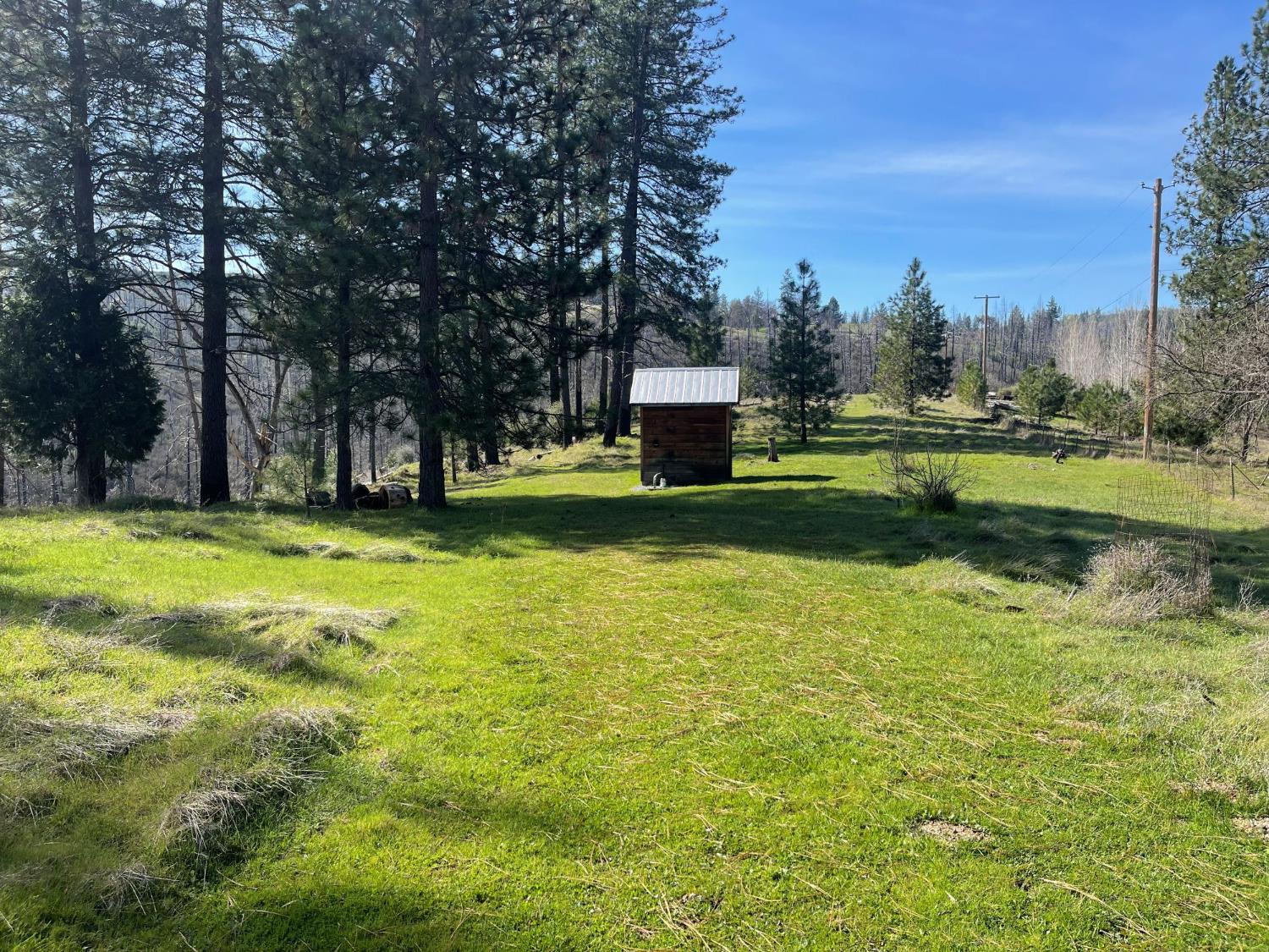 7602 Old Emigrant Trail Mountain Ranch, CA 95246 - Photo 7 of 50