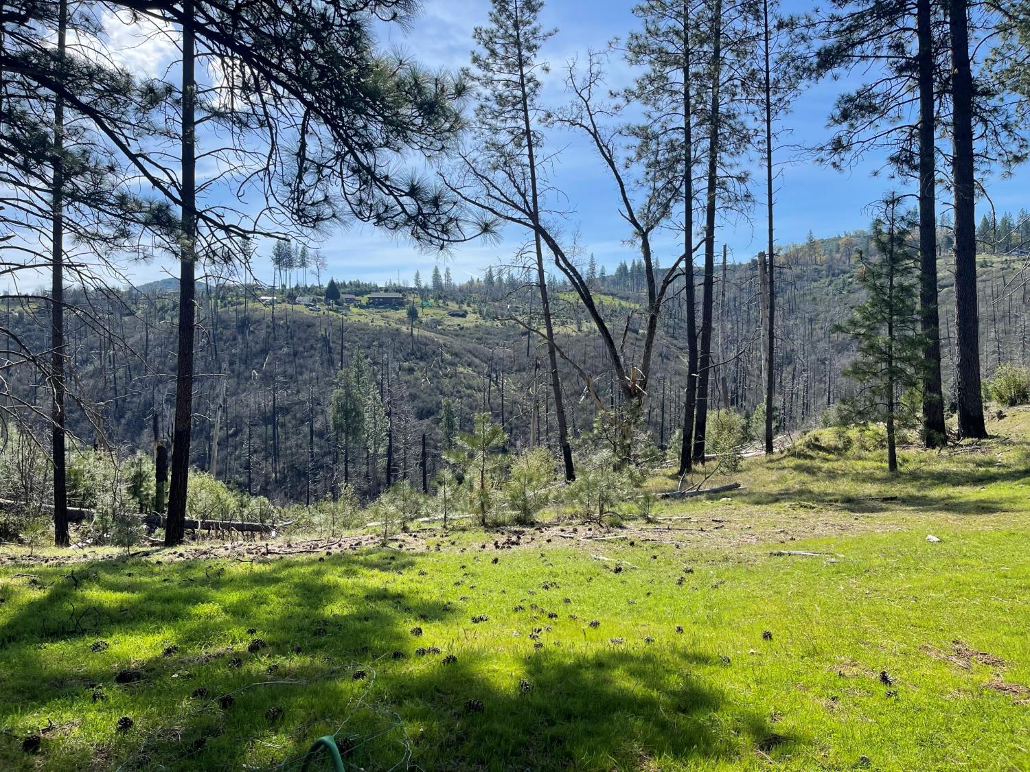 7602 Old Emigrant Trail Mountain Ranch, CA 95246 - Photo 9 of 50
