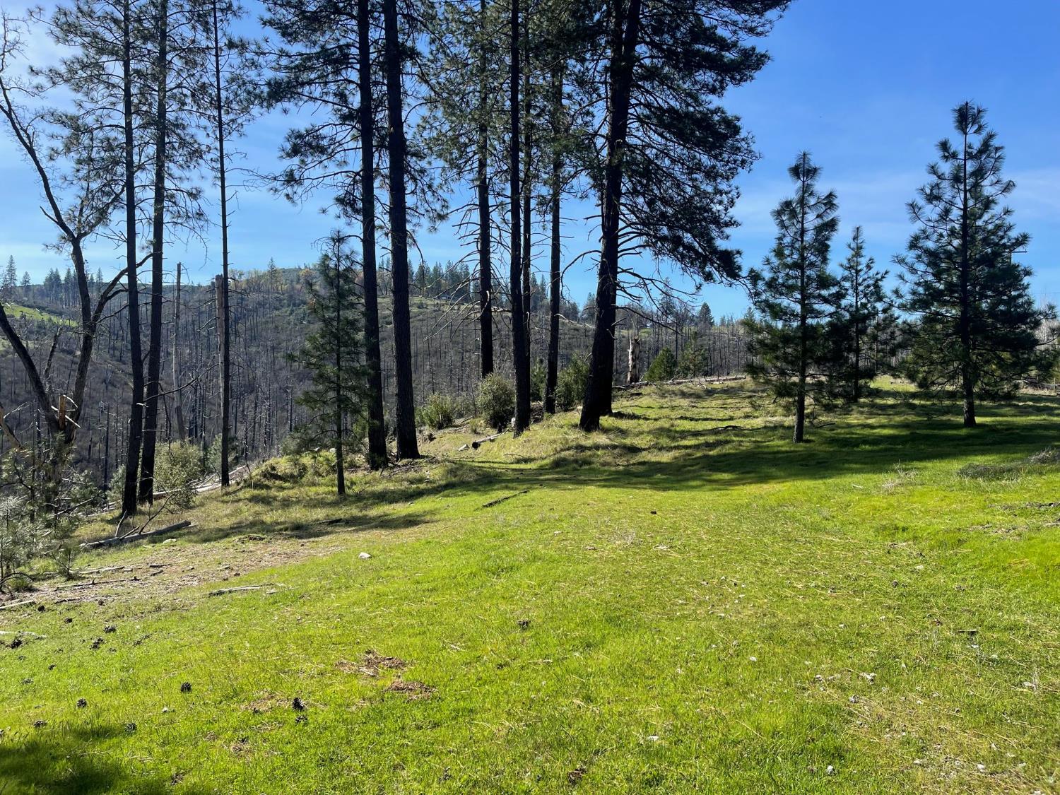 7602 Old Emigrant Trail Mountain Ranch, CA 95246 - Photo 10 of 50