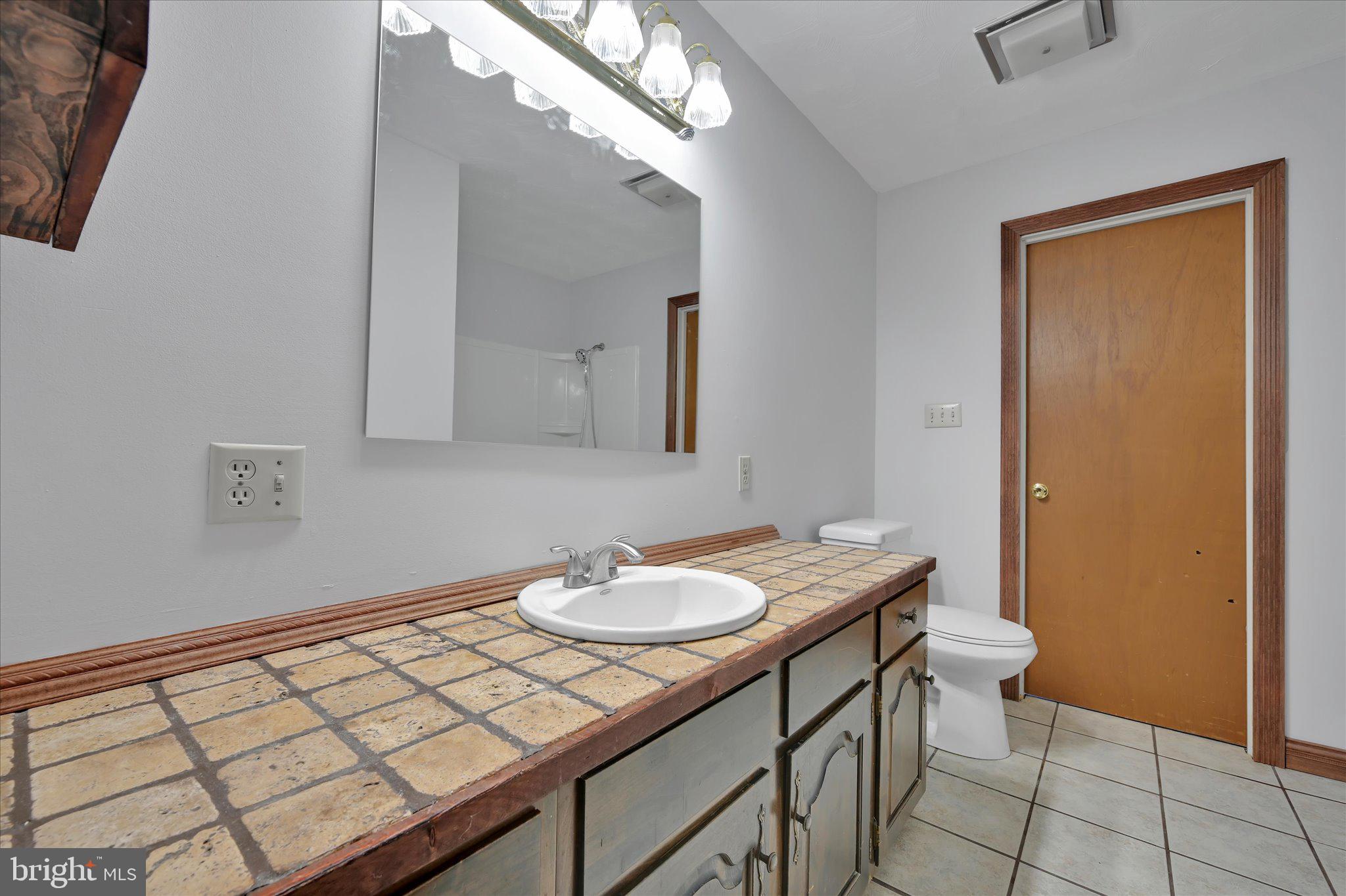 301 West Walnut Street Valley View, PA 17983 - Photo 19 of 40 a bathroom with a sink a toilet and a mirror
