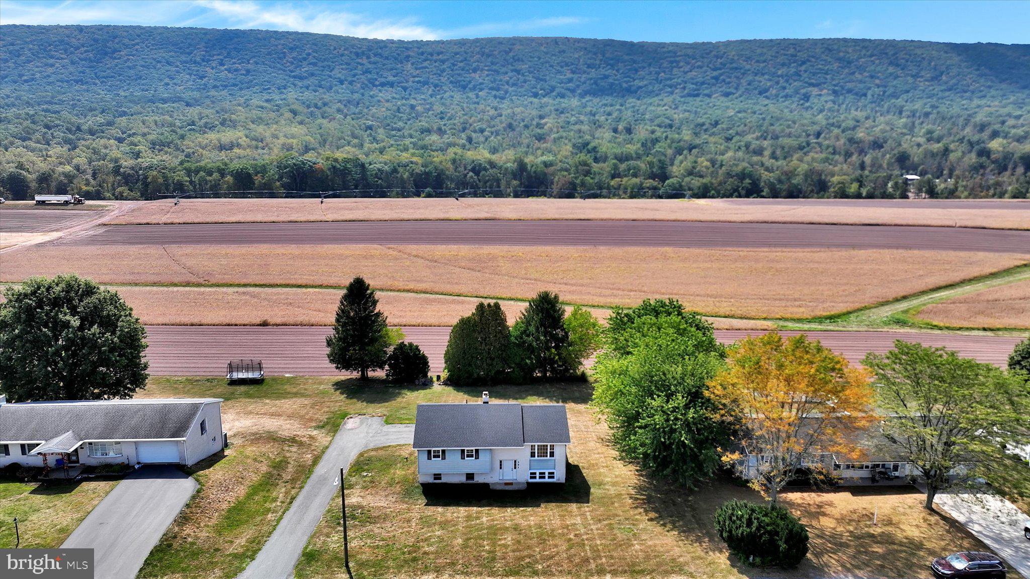 301 West Walnut Street Valley View, PA 17983 - Photo 3 of 40 a view of a terrace with a yard