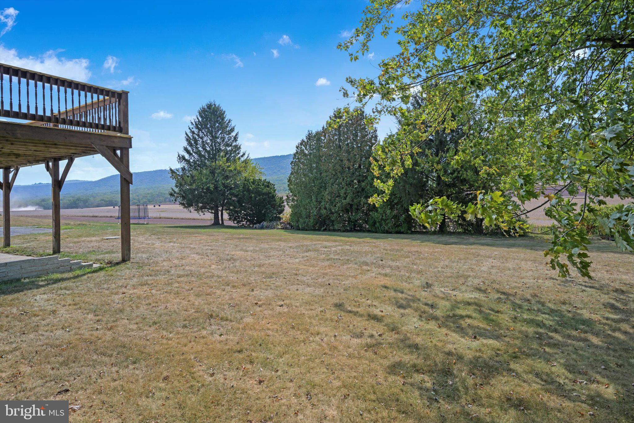 301 West Walnut Street Valley View, PA 17983 - Photo 31 of 40