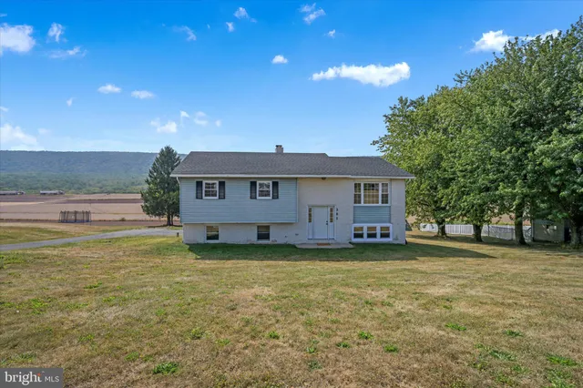 a view of a house with a big yard and a large tree