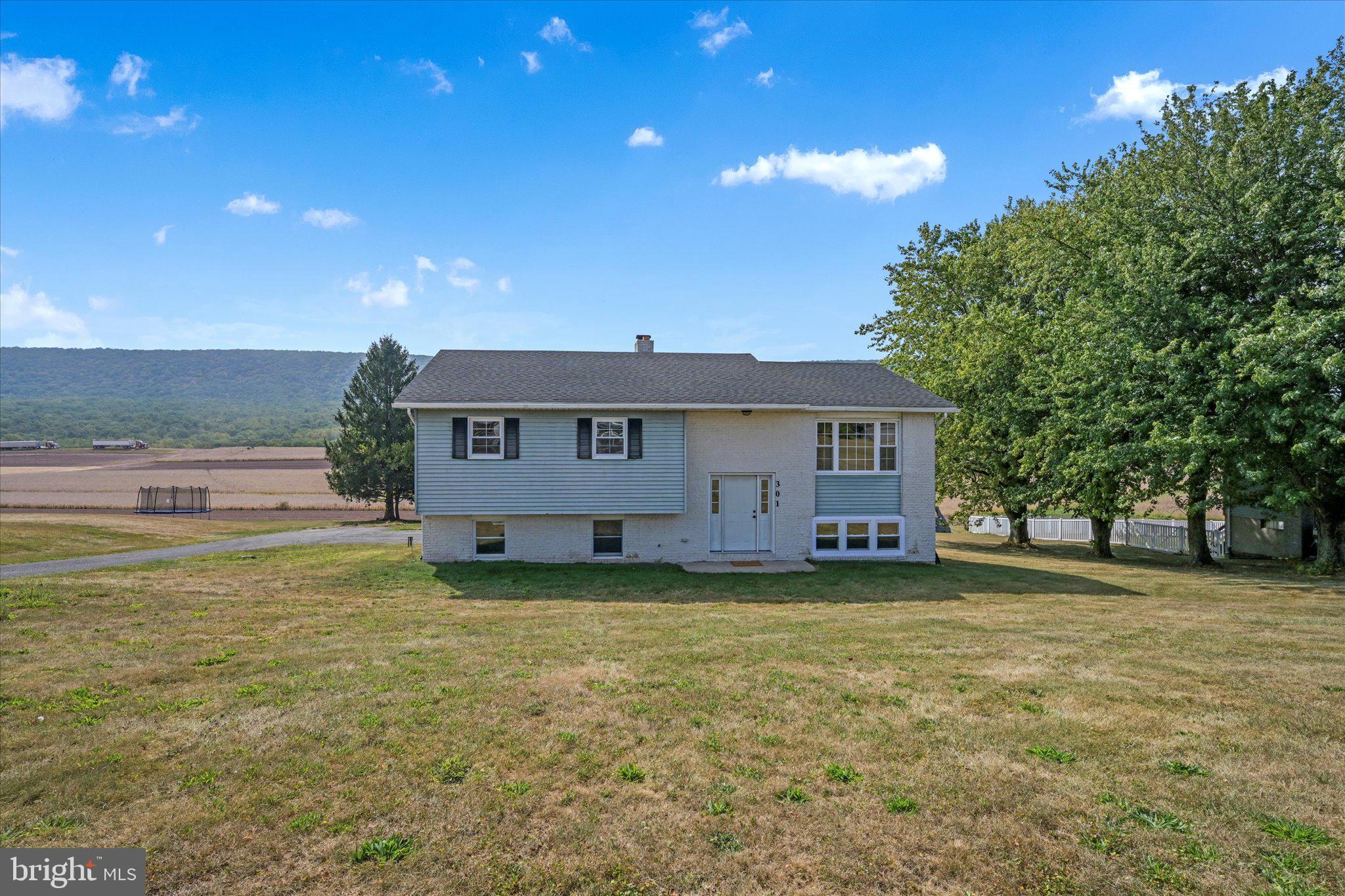 301 West Walnut Street Valley View, PA 17983 - Photo 4 of 40 a view of a house with a big yard and a large tree