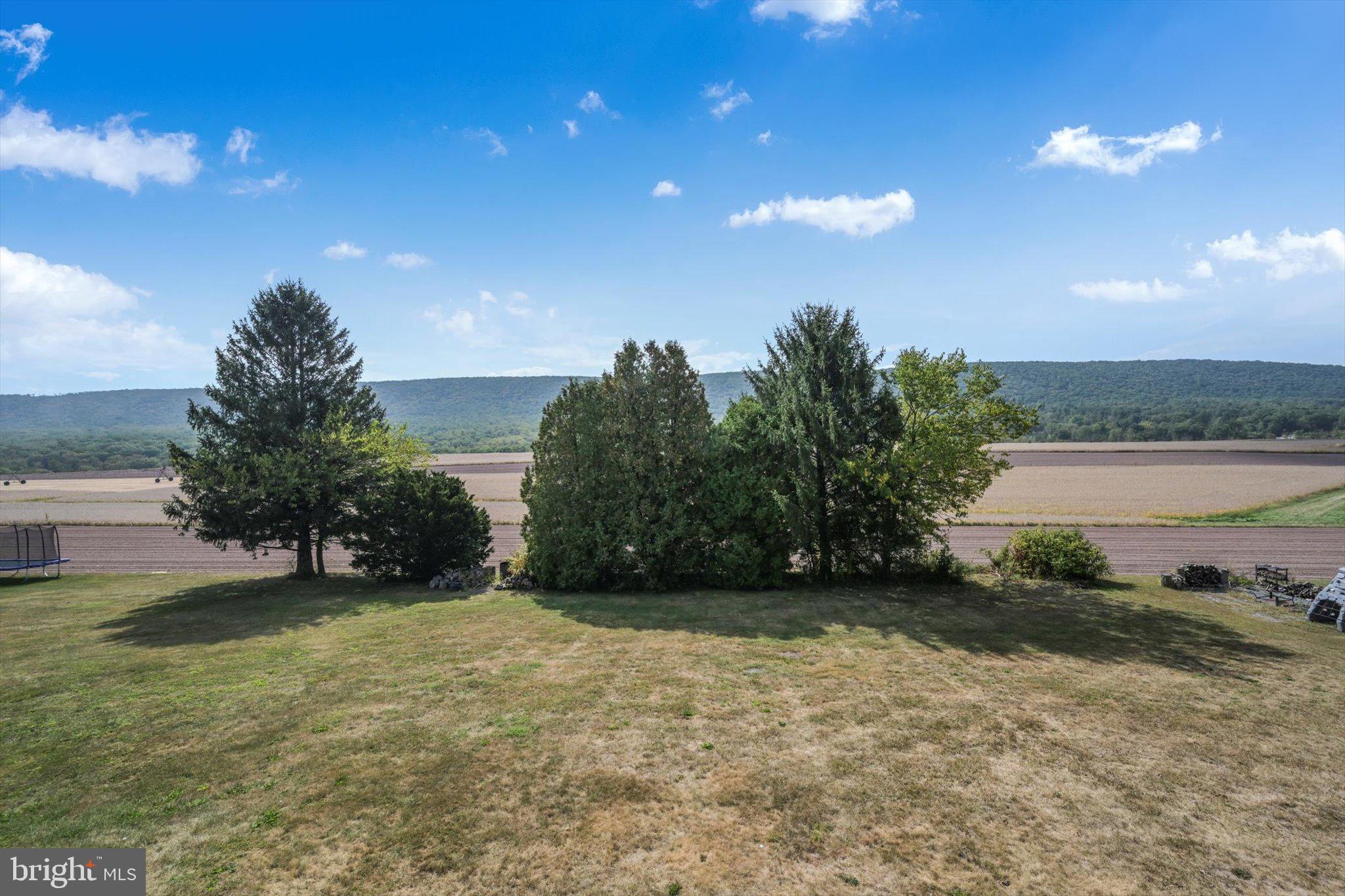 301 West Walnut Street Valley View, PA 17983 - Photo 9 of 40 a view of an outdoor space and a yard