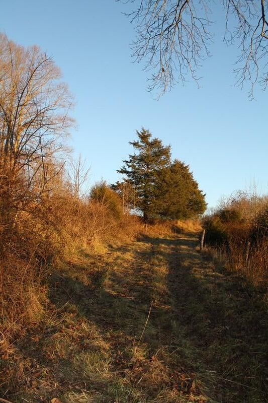 Zion Mountain Road Hinton, WV 25951 - Photo 73 of 73 Gallery Image 73