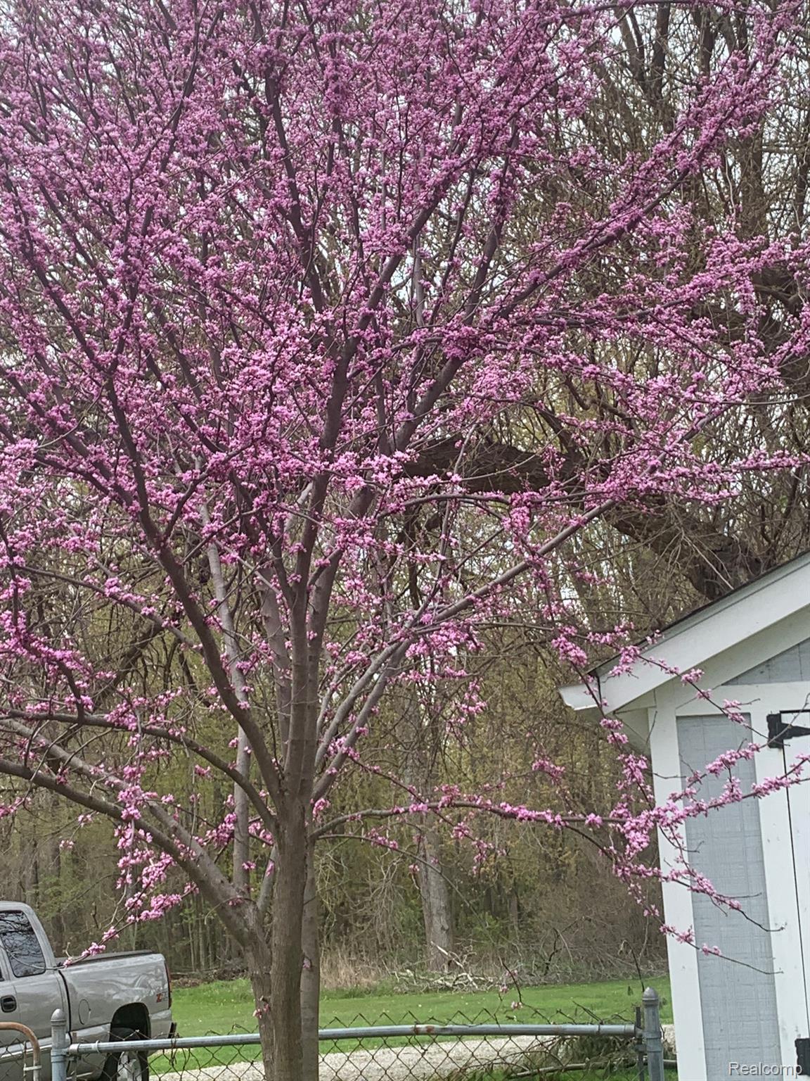 13955 Grafton Road Carleton, MI 48117 - Photo 55 of 55 Property in Full Bloom