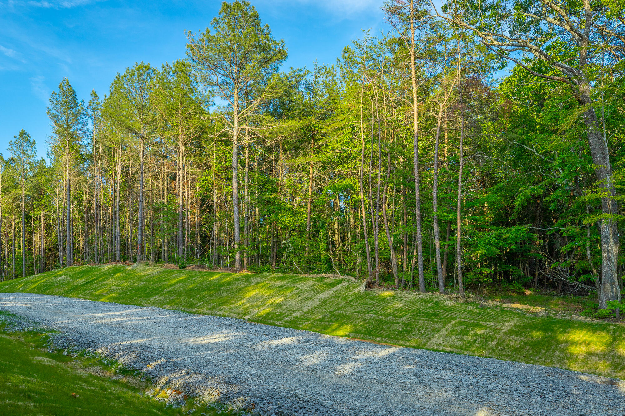 0 Cannon Way, Unit LOT 1317 Guild, TN 37340 - Photo 10 of 99 0 Cannon Way - Lot 1317 HD-55