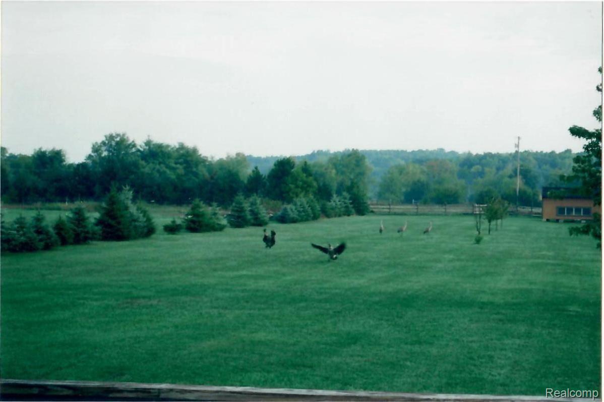 2872 Patterson Lk Road Pinckney, MI 48169 - Photo 22 of 33 22 YARD.jpg