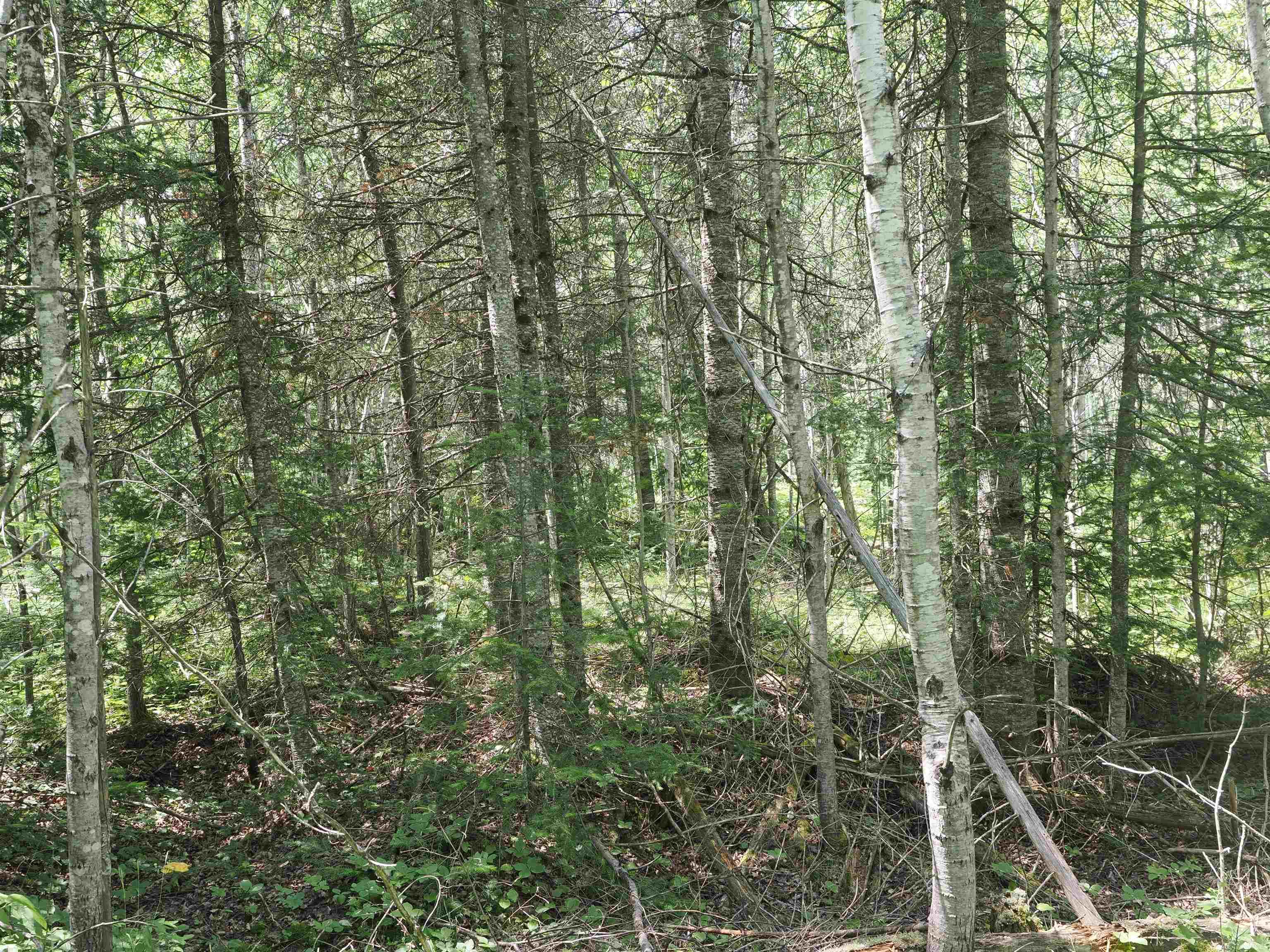 0 County Road Ishpeming, MI 49849 - Photo 25 of 85