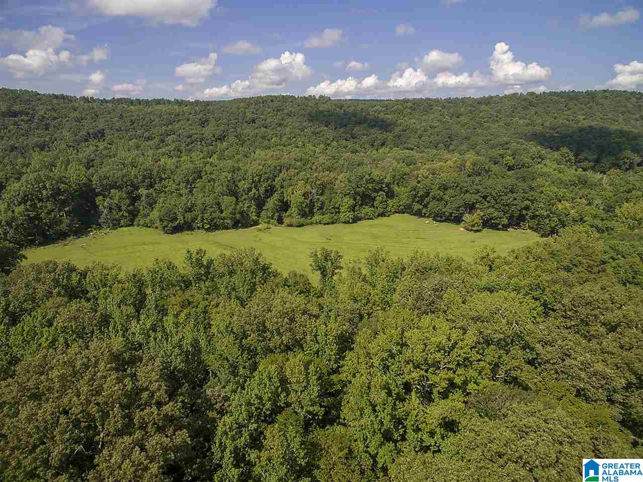 3330 Highway 174 Springville, AL 35146 - Photo 2 of 21