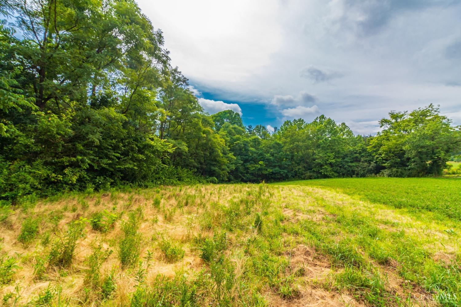 321 Red Bridge Road Peebles, OH 45660 - Photo 5 of 12