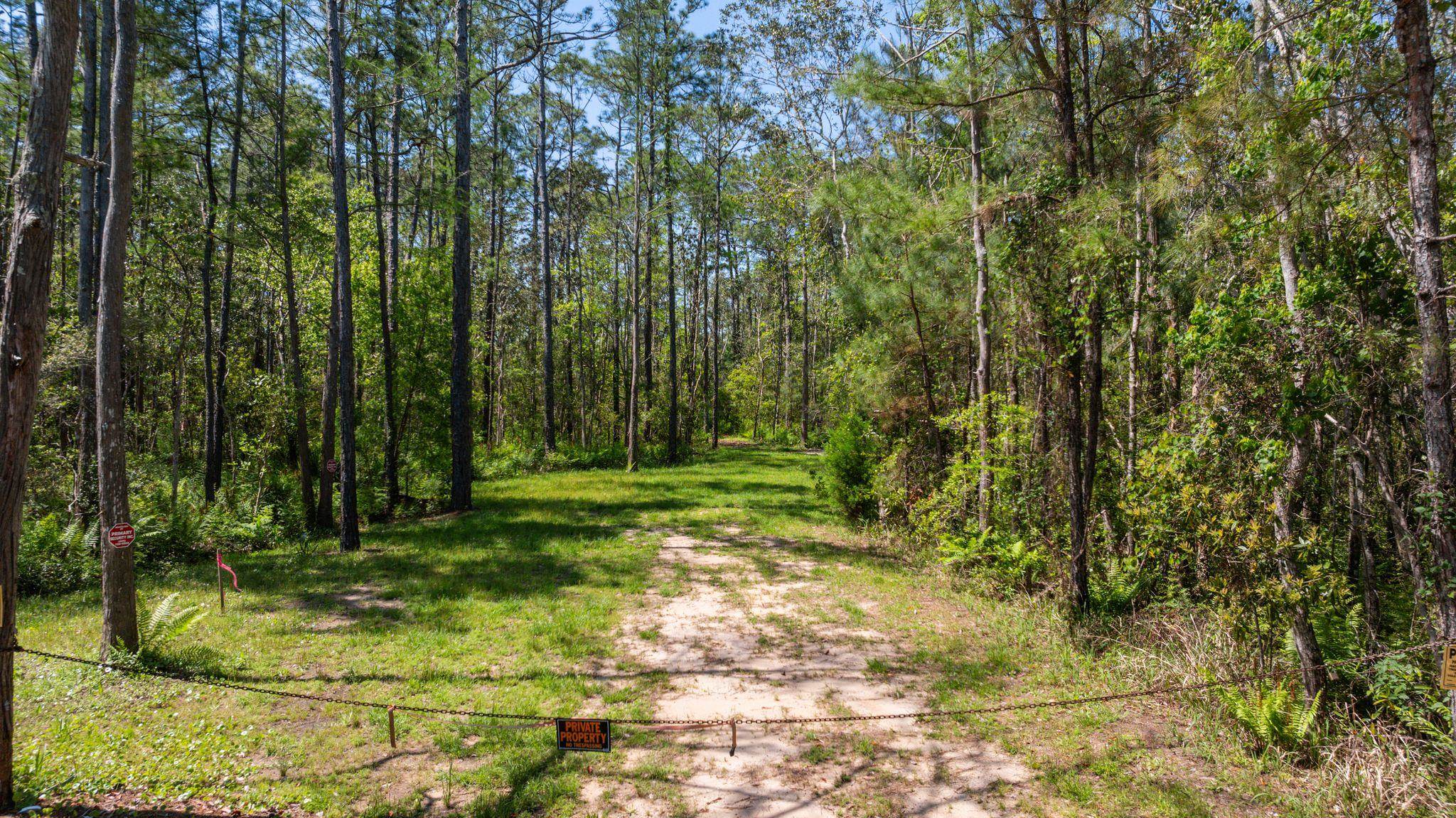 0 River Road Fairhope, AL 36532 - Photo 4 of 5 View