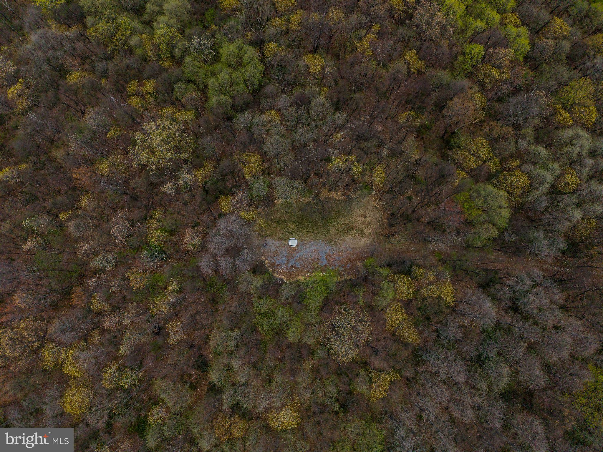 0 Gilbert Road Chambersburg, PA 17202 - Photo 3 of 10 Hidden gem in a vibrant forest.
