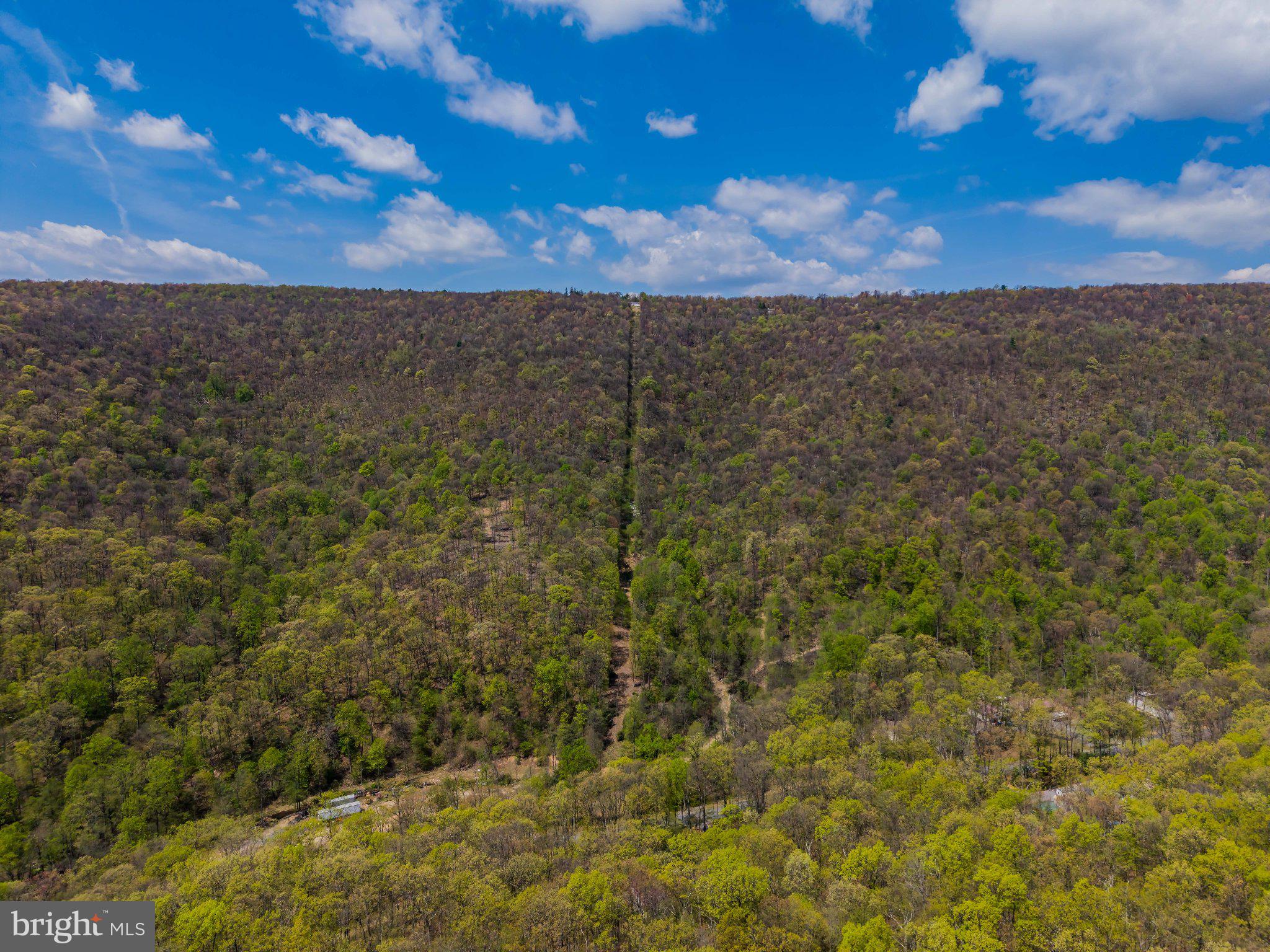 0 Gilbert Road Chambersburg, PA 17202 - Photo 8 of 10 Nature's Divide: A Green Oasis