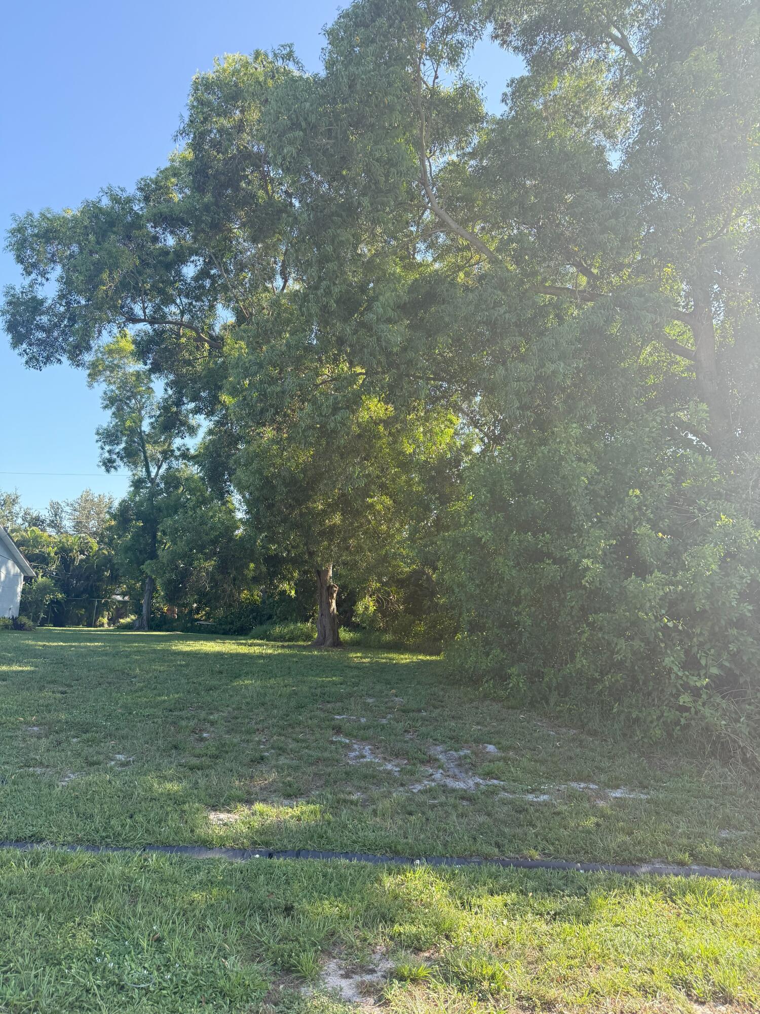 a view of a field with trees in background
