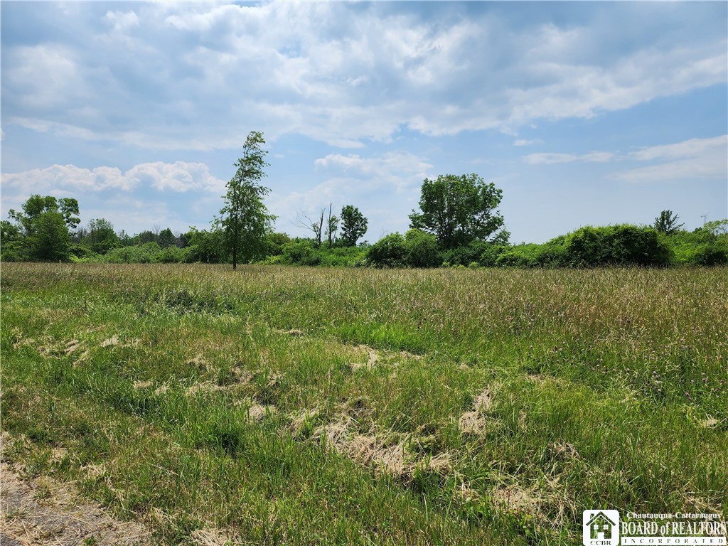 5559 Highway 76 Ripley, NY 14775 - Photo 17 of 18