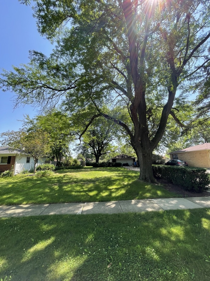 1203 Robert Drive Mount Prospect, IL 60056 - Photo 1 of 1 a view of a trees in a yard