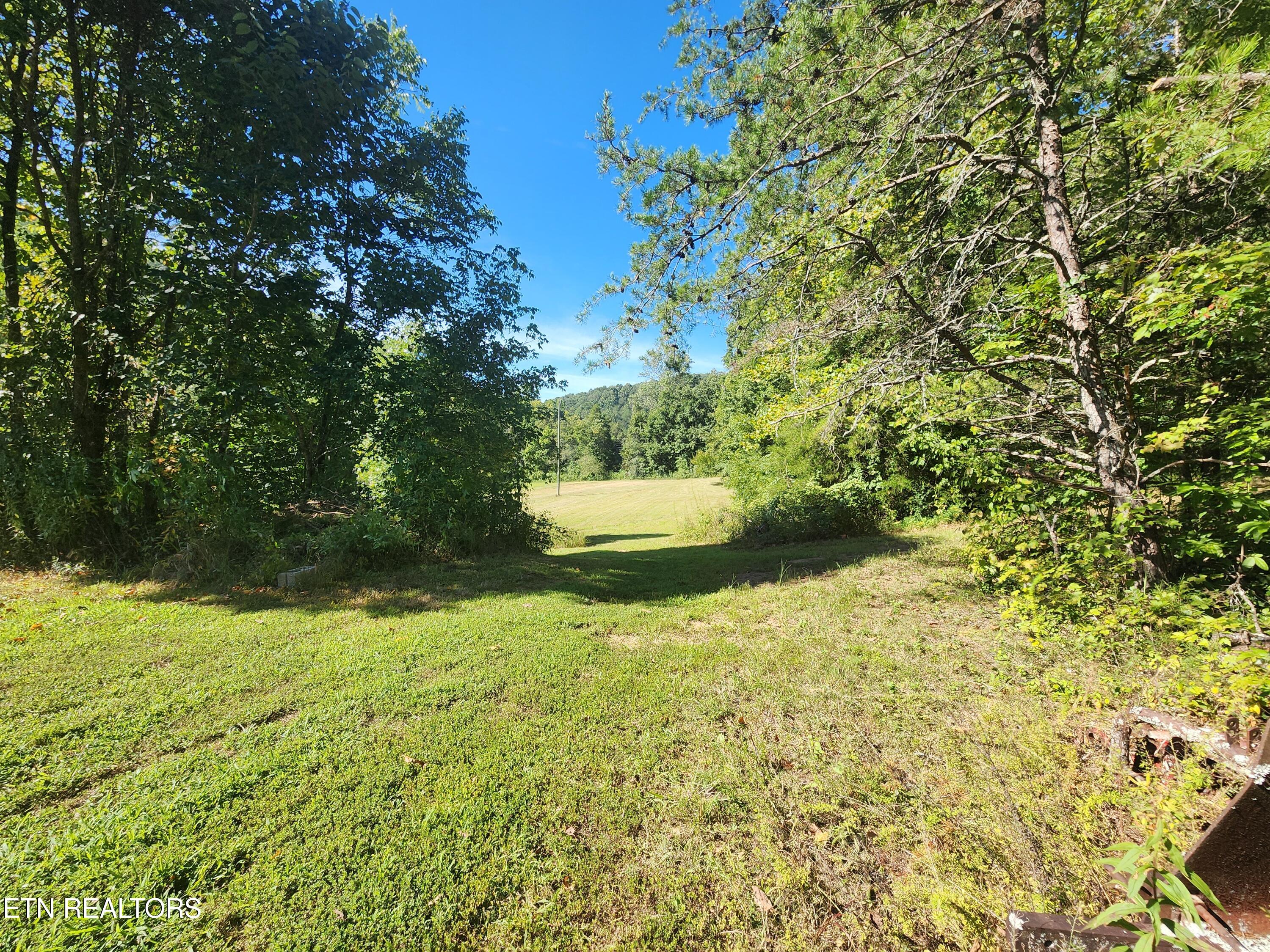 1641 Walker Ford Road Maynardville, TN 37807 - Photo 49 of 60 1000032417