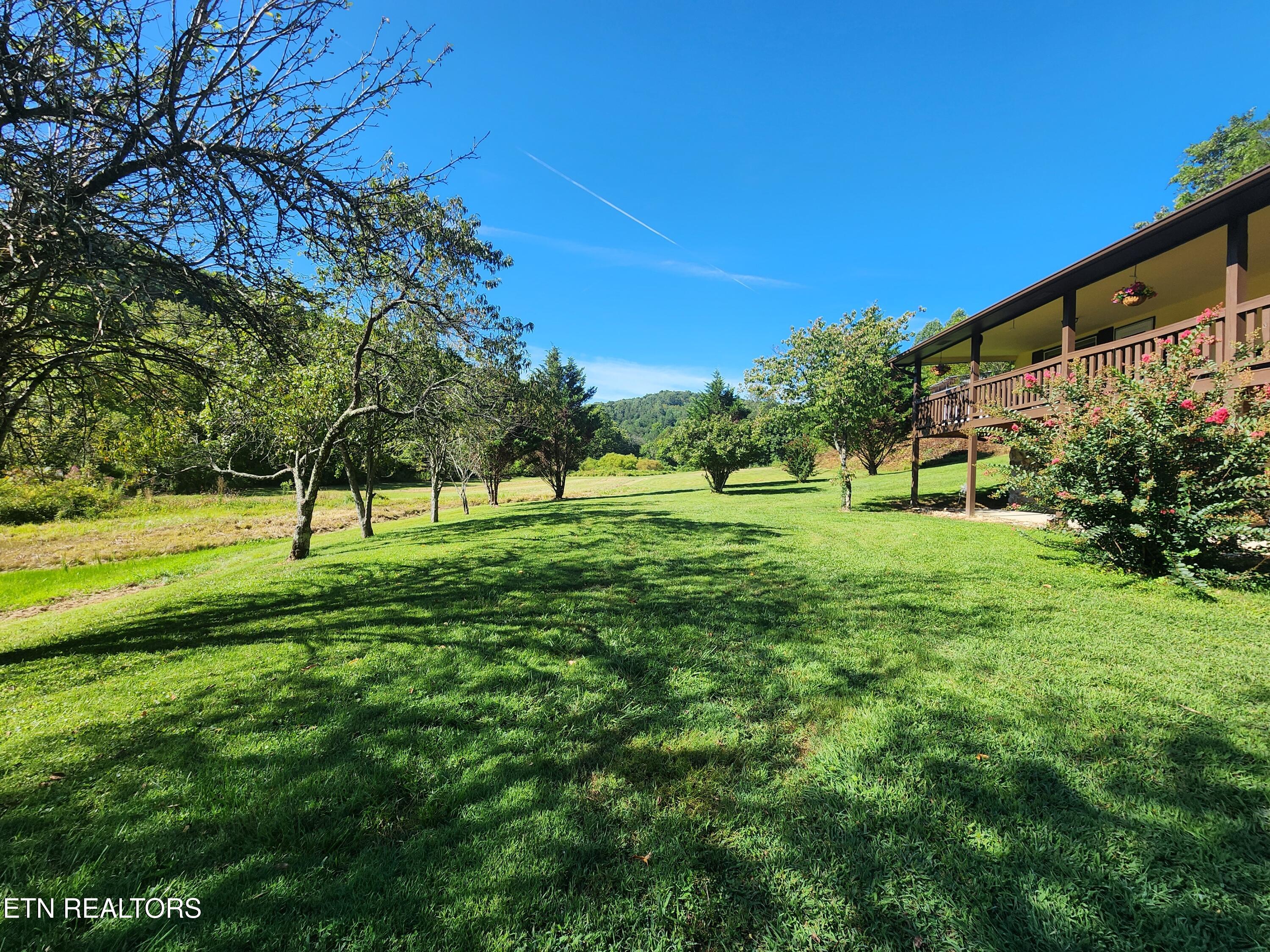 1641 Walker Ford Road Maynardville, TN 37807 - Photo 59 of 60 1000032451