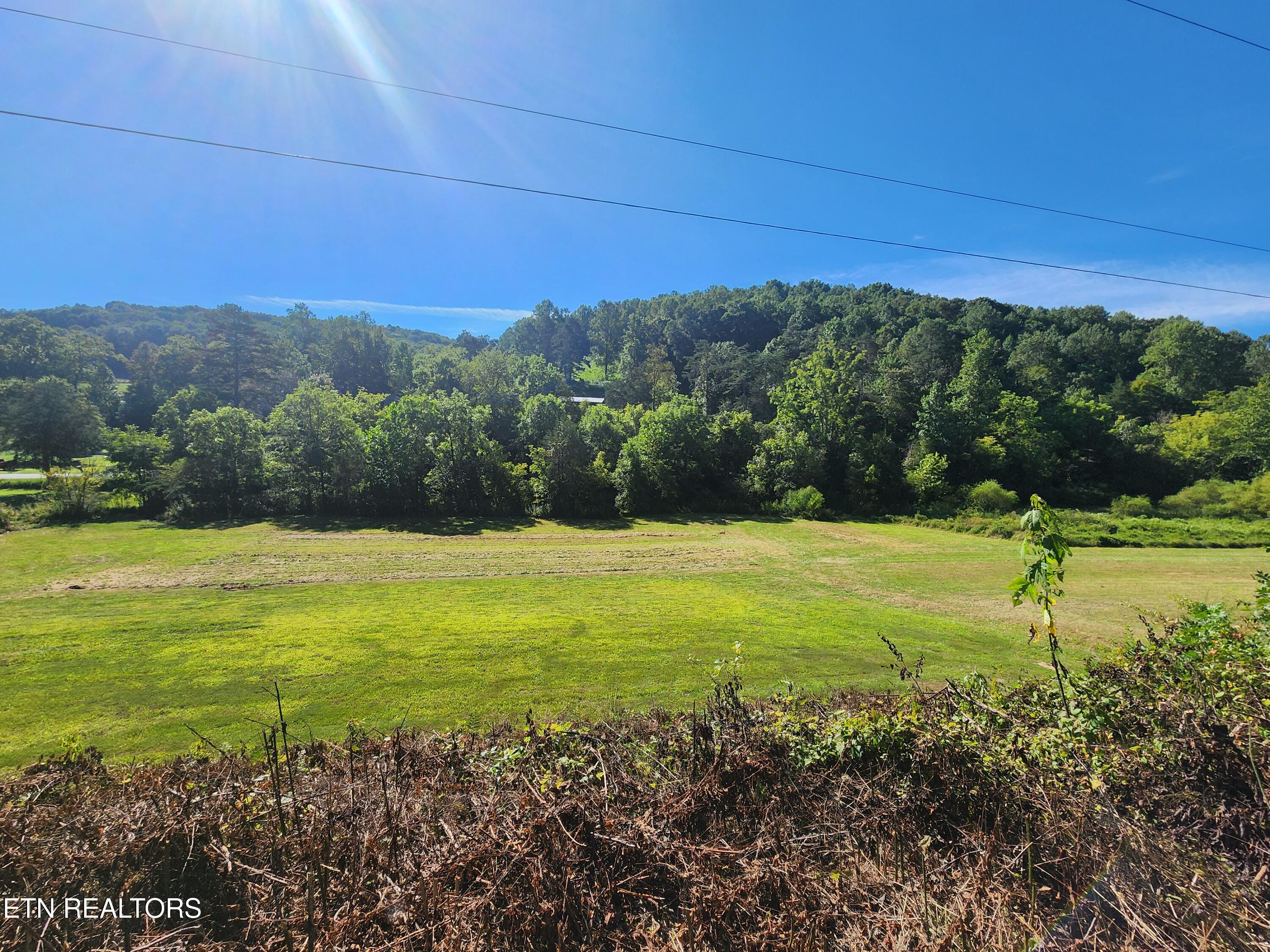 1641 Walker Ford Road Maynardville, TN 37807 - Photo 6 of 60 1000032419