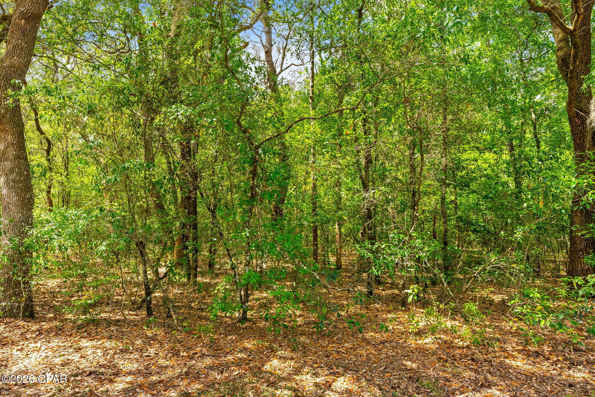 0 Quail Ridge Drive Chipley, FL 32428 - Photo 16 of 22