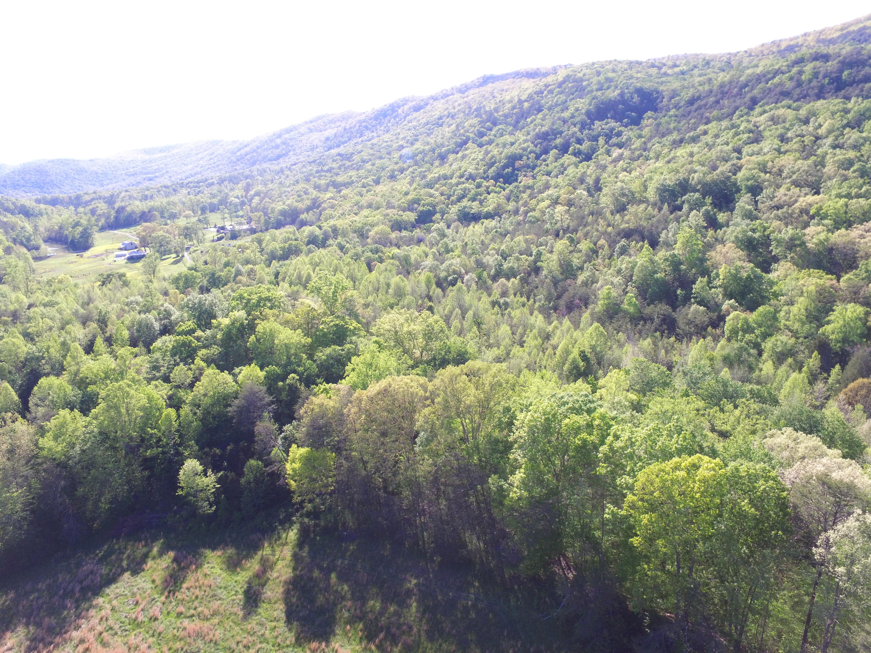 Highland Springs Road Blaine, TN 37709 - Photo 1 of 15 00001