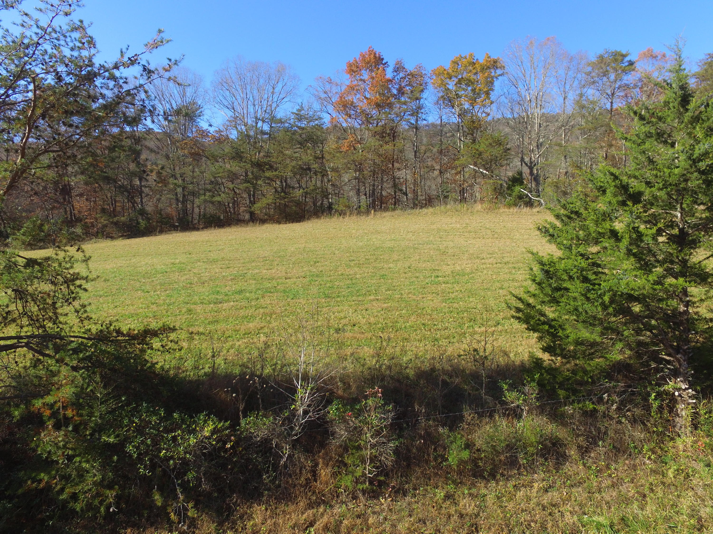 Highland Springs Road Blaine, TN 37709 - Photo 11 of 15 2017-11-16 14.11.26