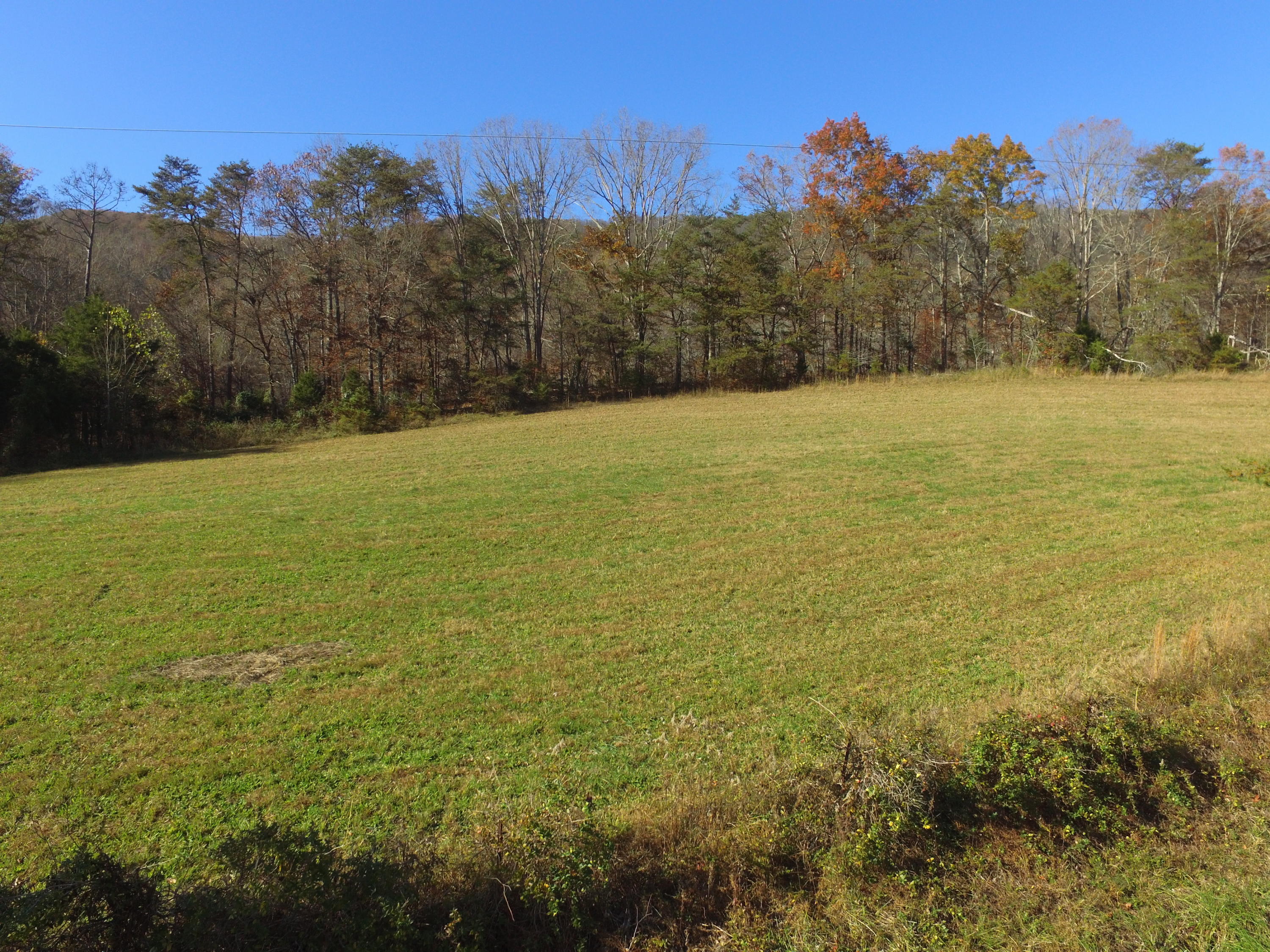 Highland Springs Road Blaine, TN 37709 - Photo 12 of 15 0001