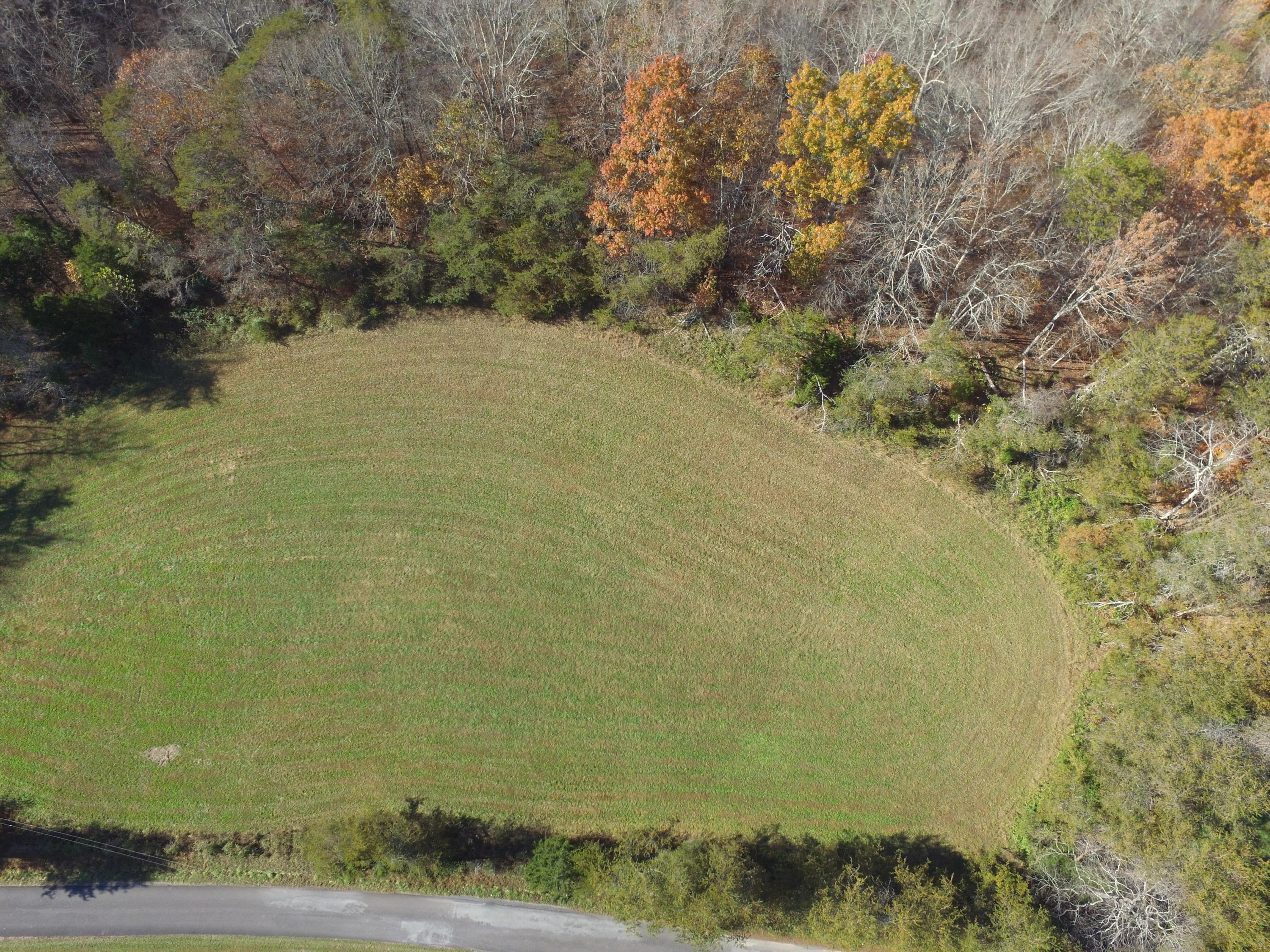 Highland Springs Road Blaine, TN 37709 - Photo 13 of 15 00003