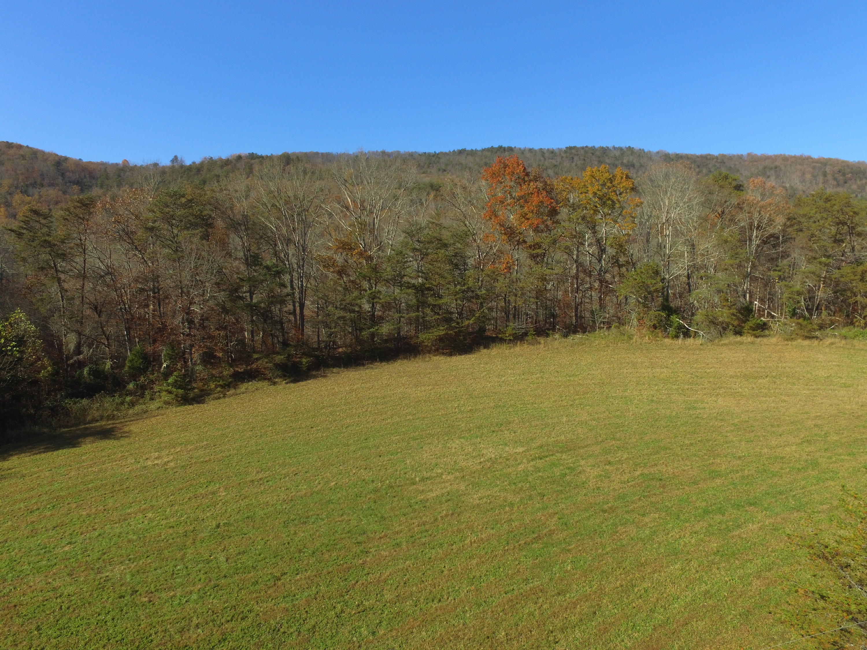 Highland Springs Road Blaine, TN 37709 - Photo 14 of 15 2017-11-16 14.12.22