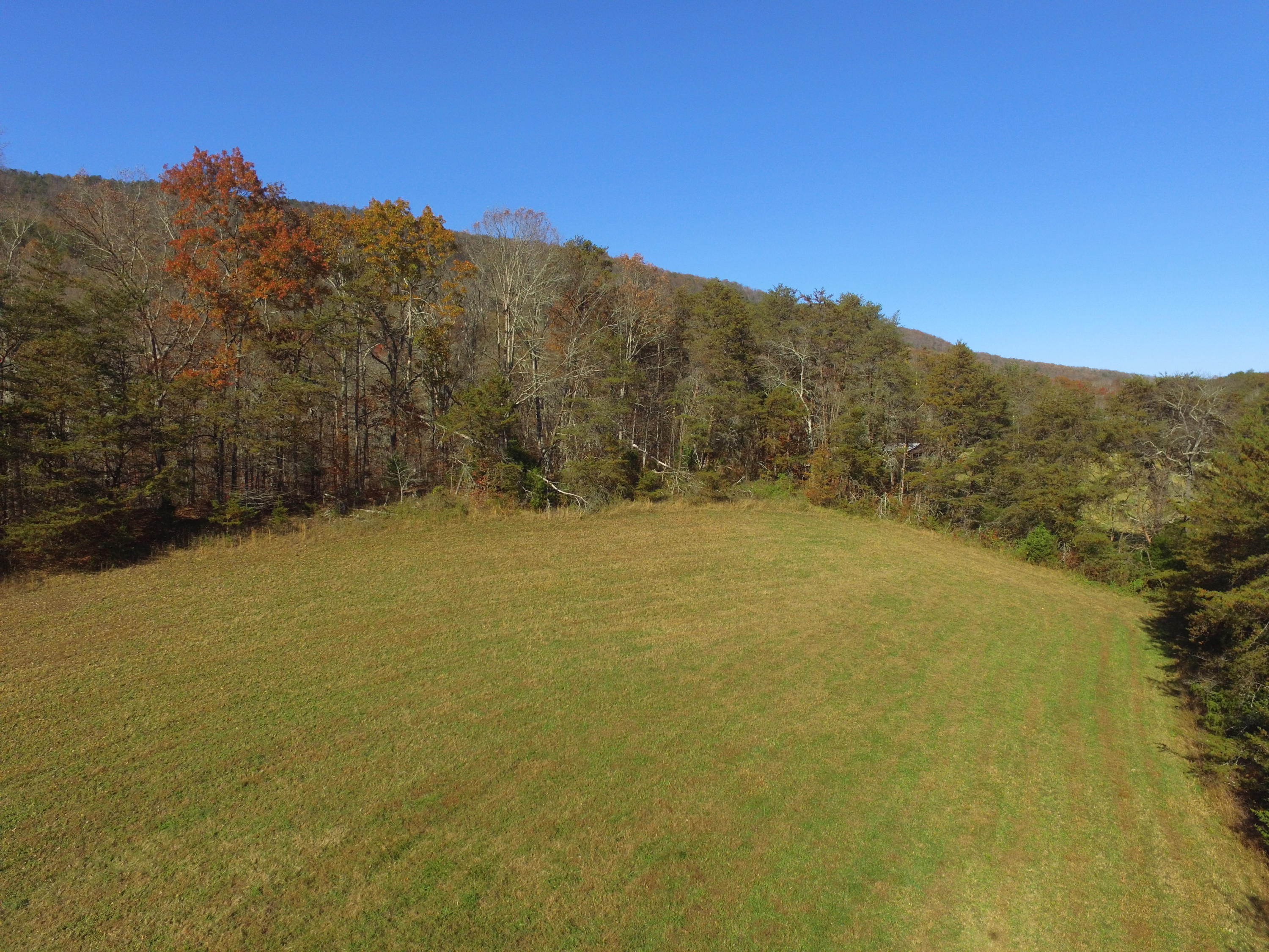 Highland Springs Road Blaine, TN 37709 - Photo 15 of 15 2017-11-16 14.12.36