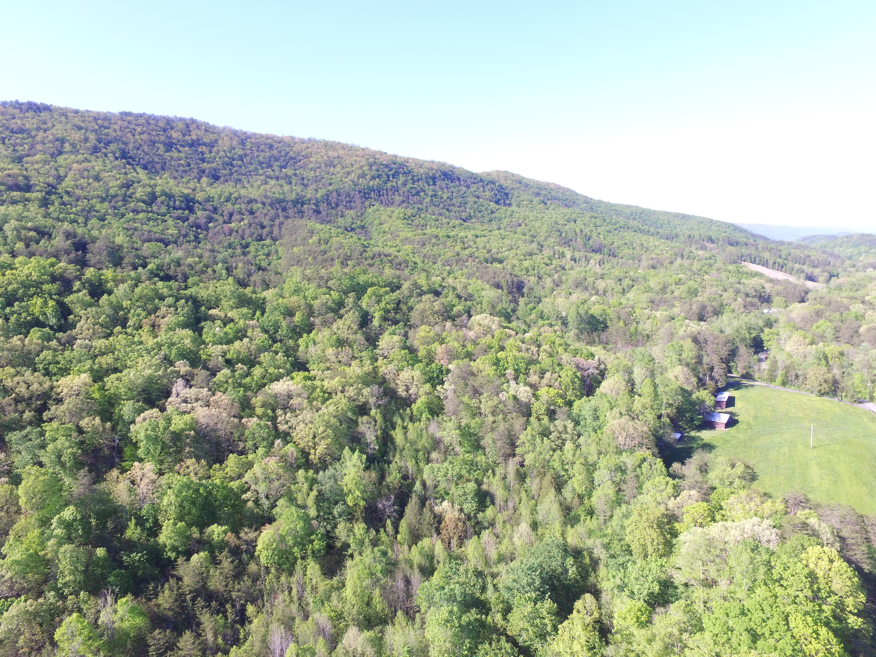 Highland Springs Road Blaine, TN 37709 - Photo 4 of 15 00003