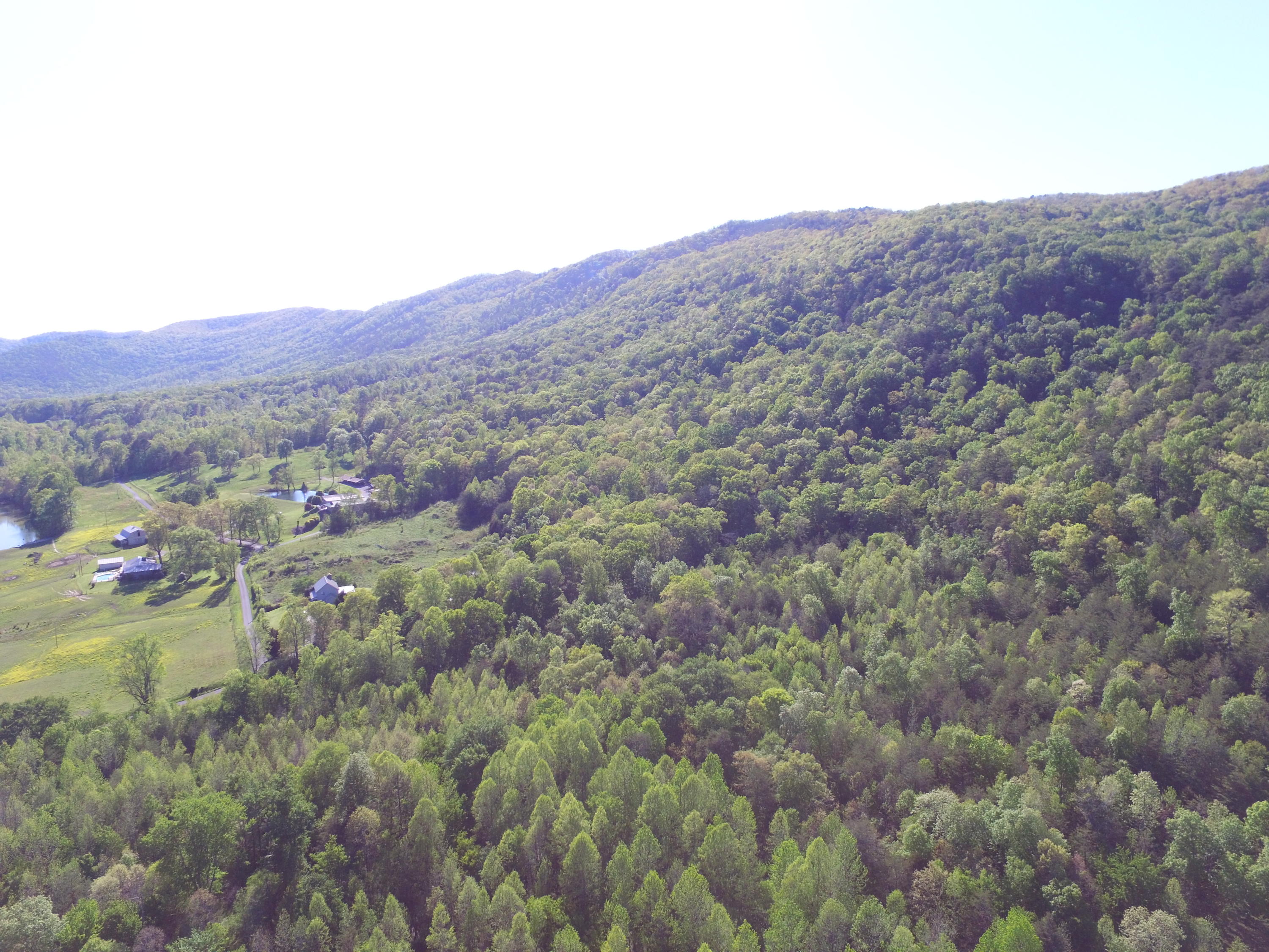 Highland Springs Road Blaine, TN 37709 - Photo 5 of 15 00004