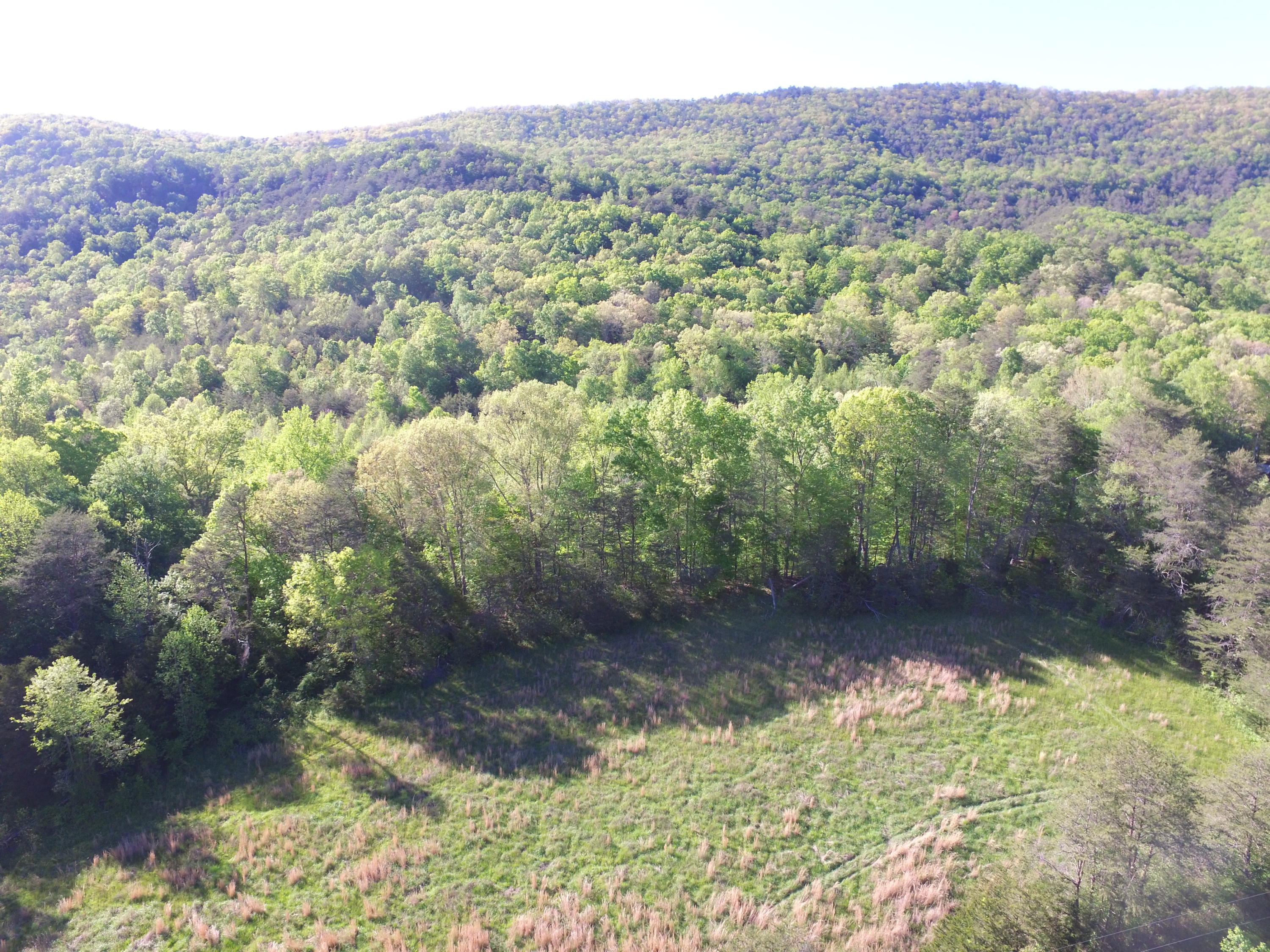 Highland Springs Road Blaine, TN 37709 - Photo 6 of 15 00005