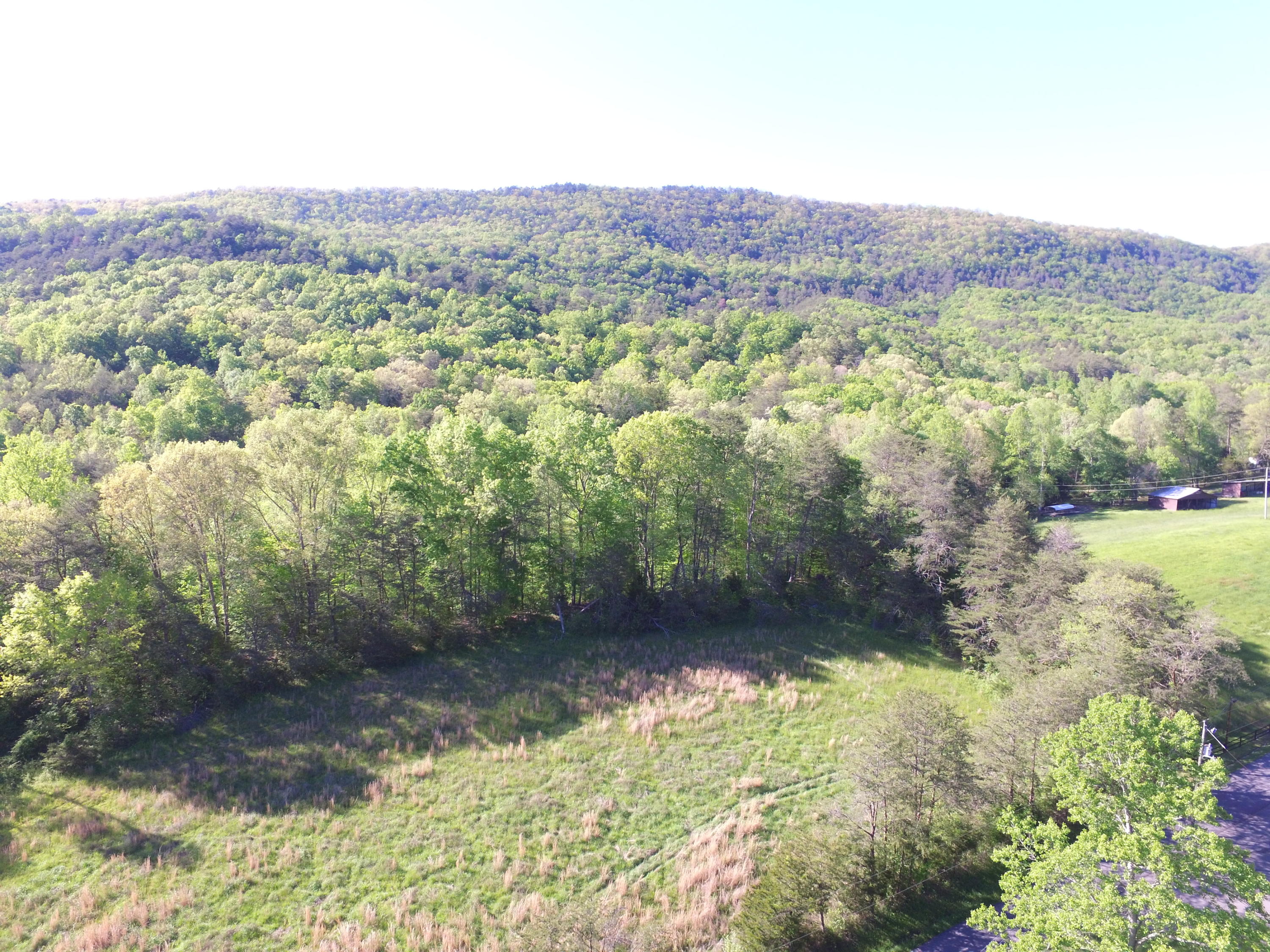 Highland Springs Road Blaine, TN 37709 - Photo 7 of 15 2020-05-01 17.33.33
