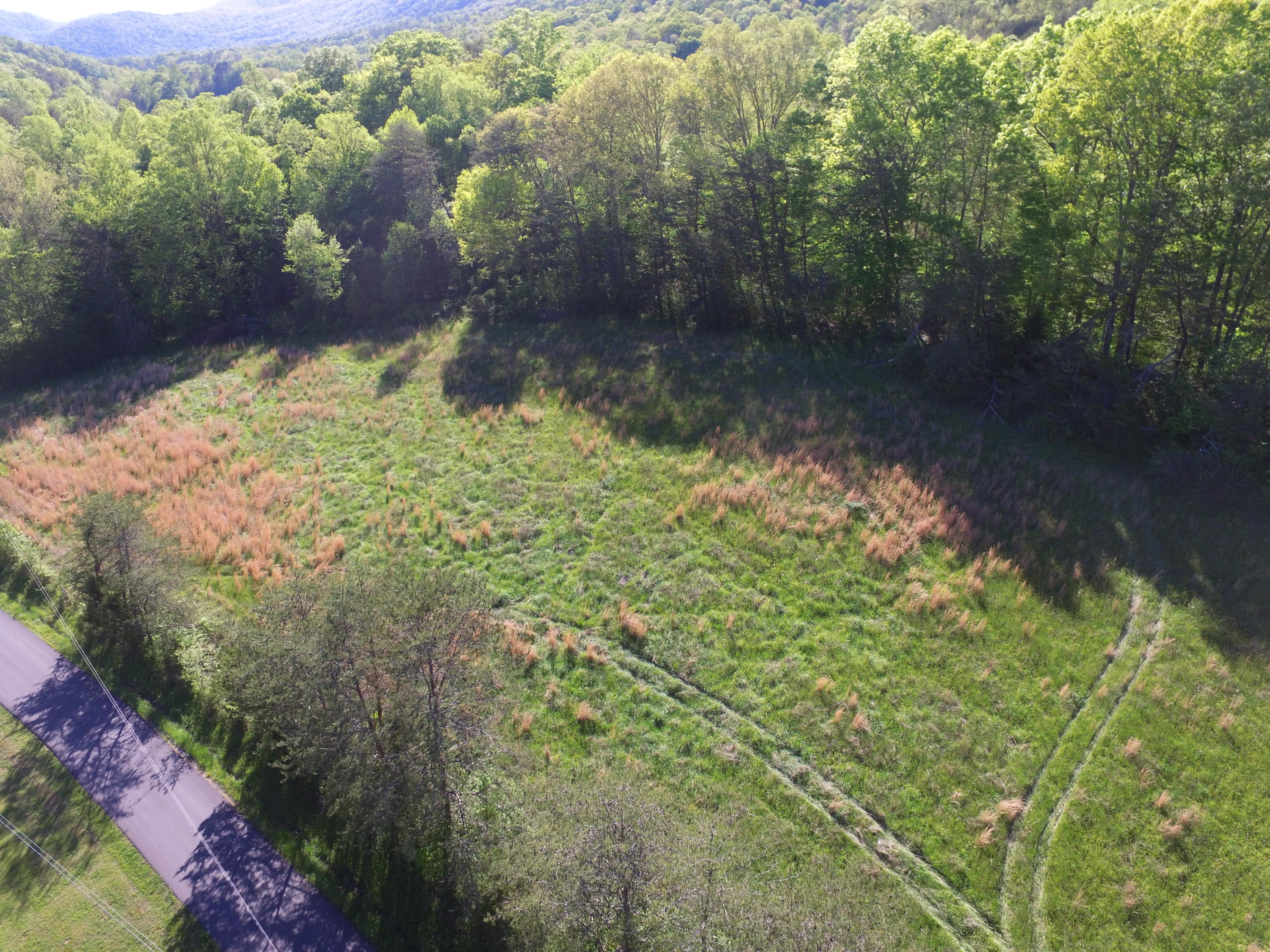 Highland Springs Road Blaine, TN 37709 - Photo 10 of 15 2020-05-01 17.31.05